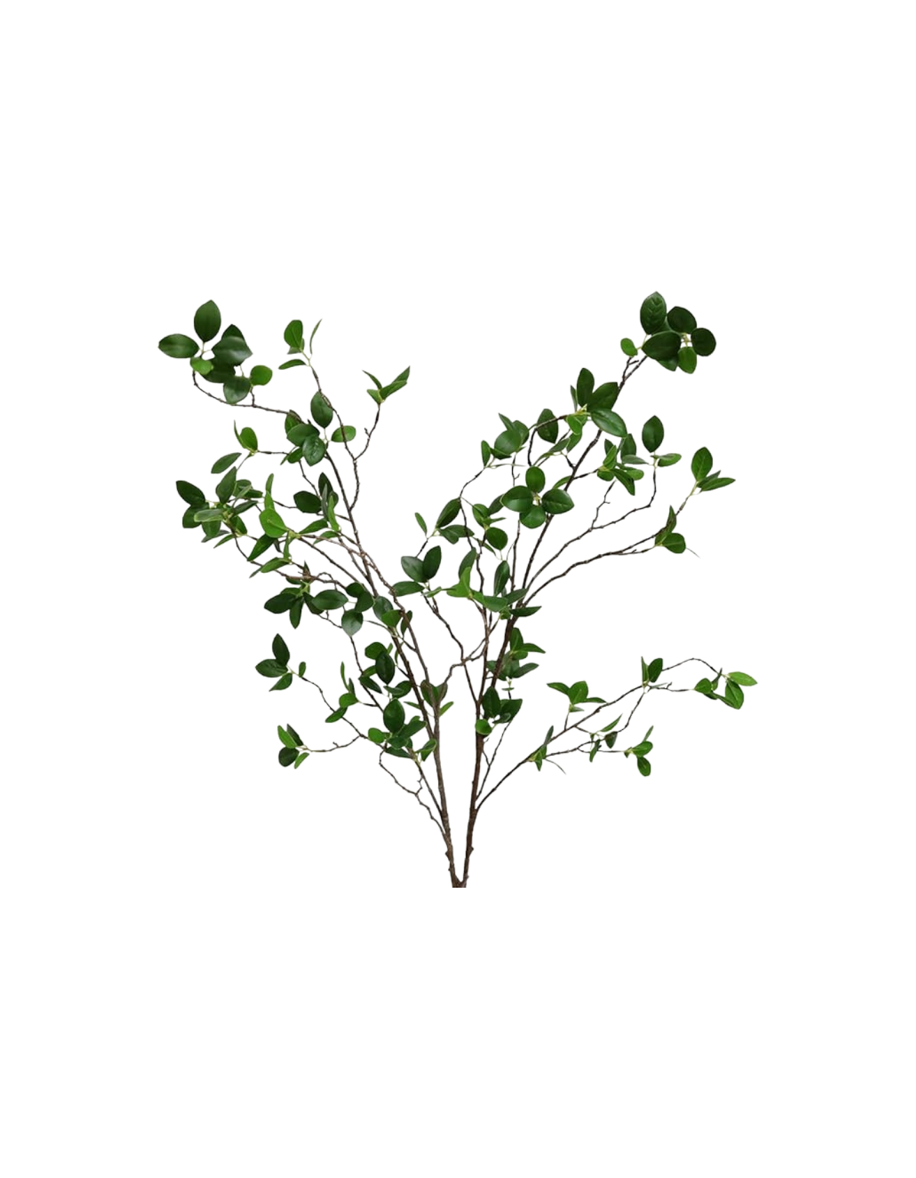 Home Simply Curated (700 x 900 px) (2).png