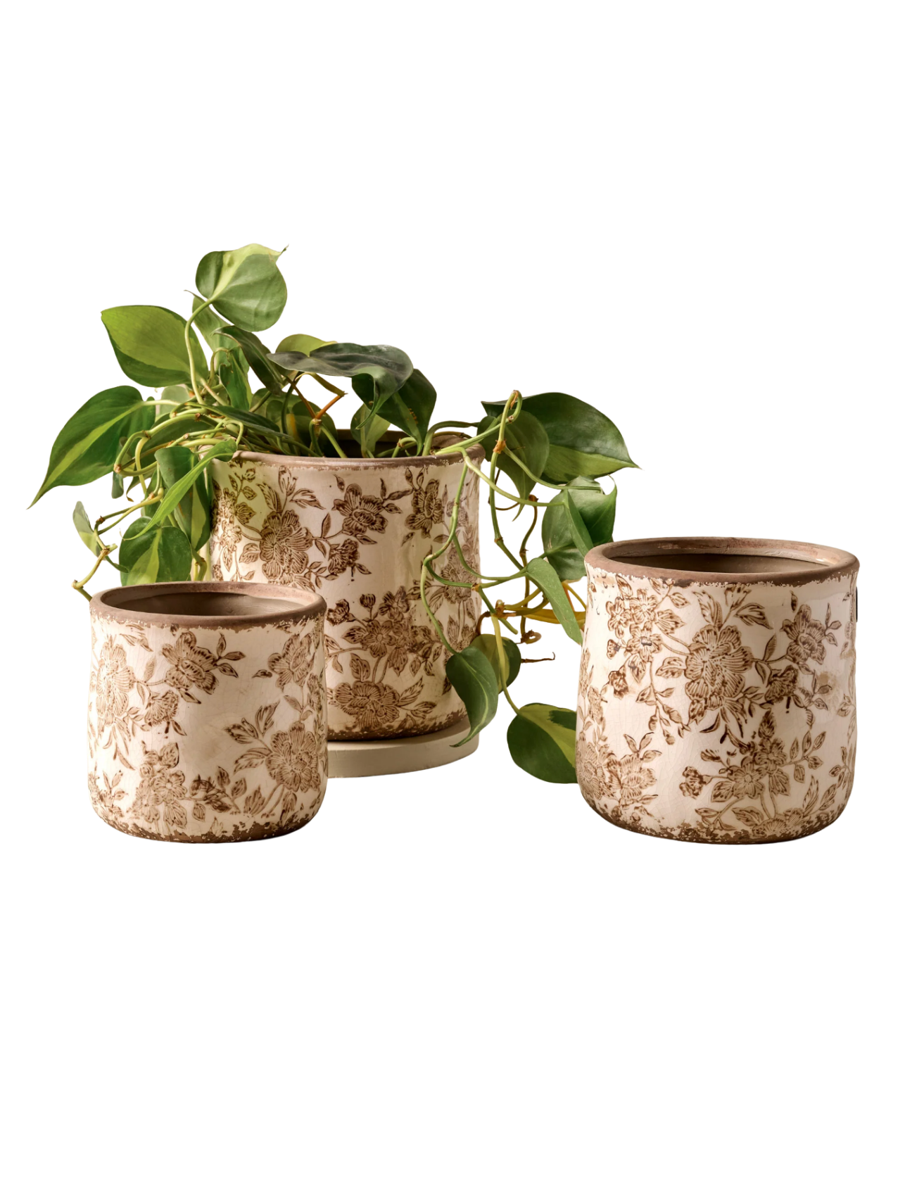 Home Simply Curated (700 x 900 px).png