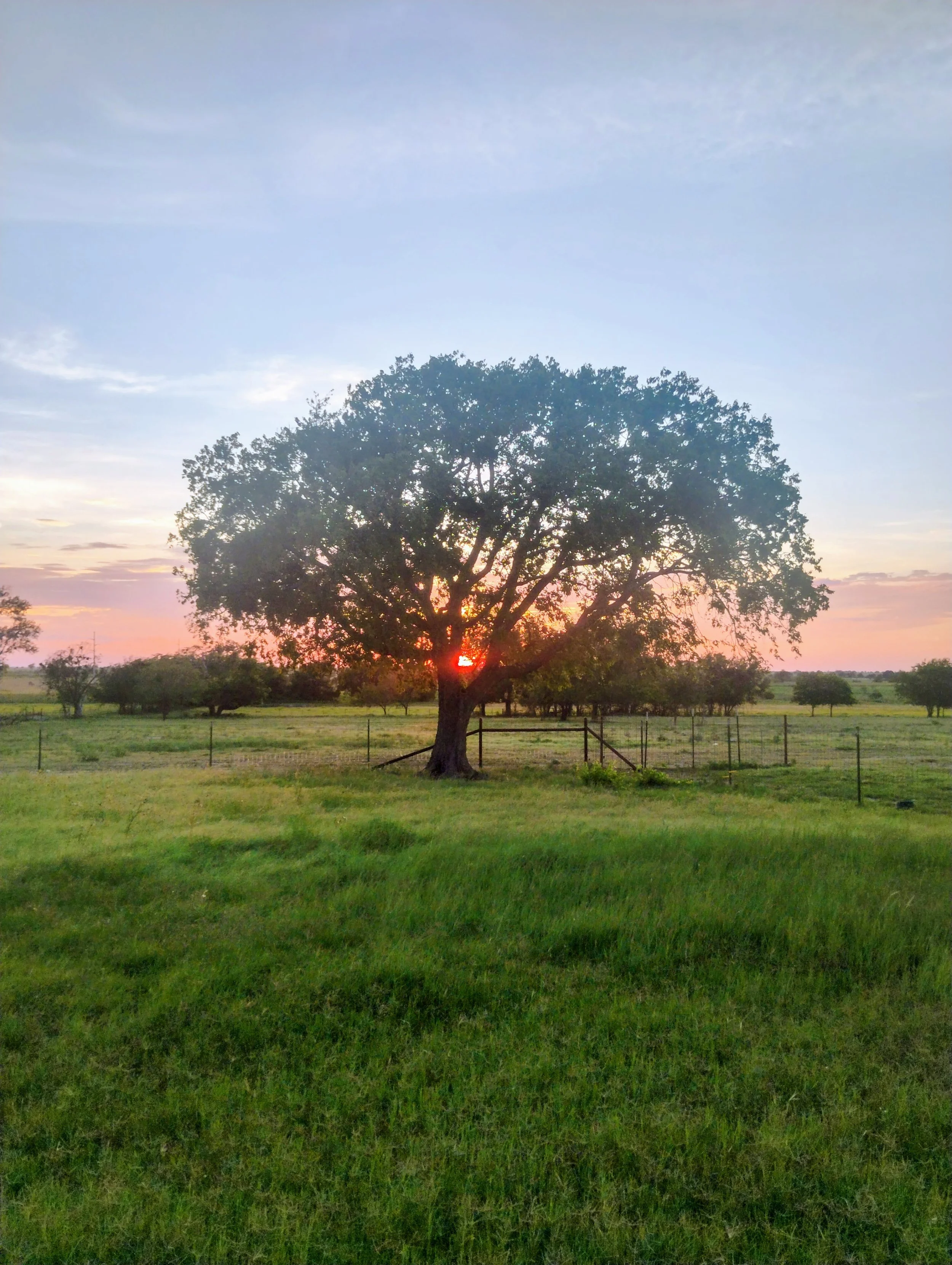 Intermediate Service