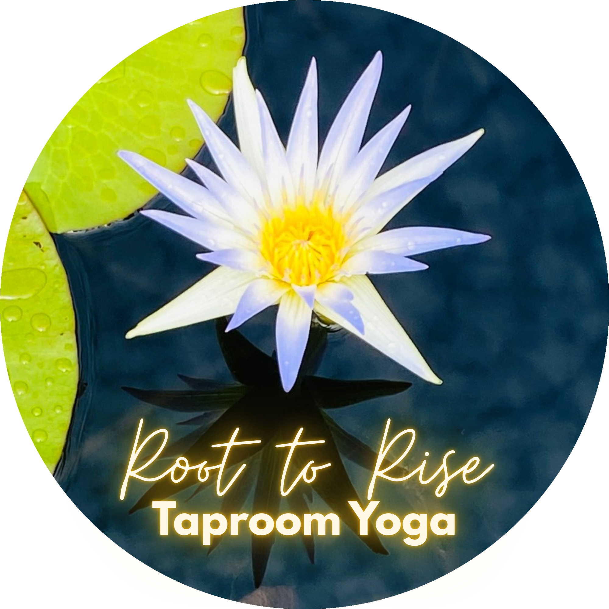 Root to Rise Taproom Yoga Logo