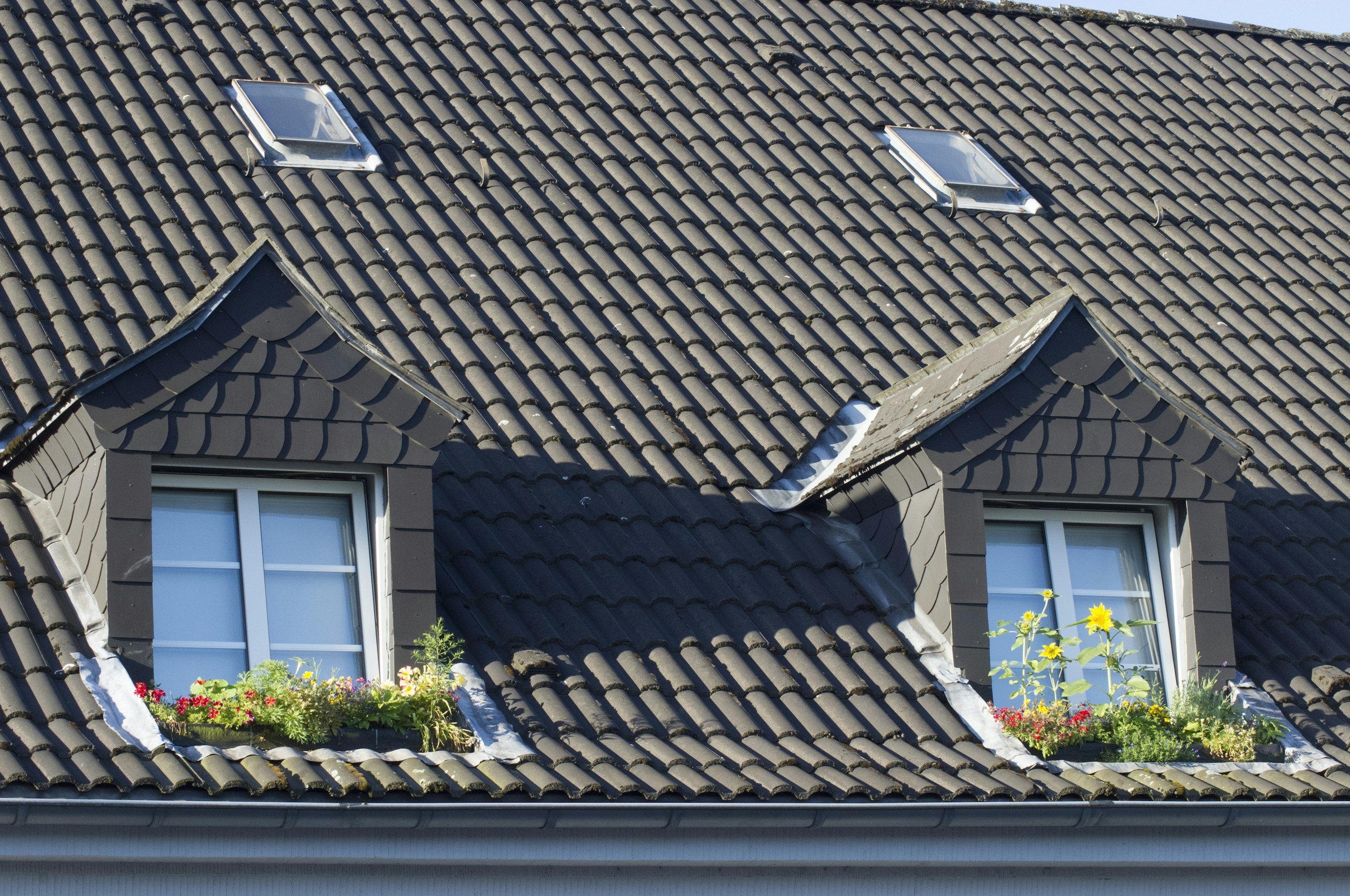 Close-up of a house roof with two dormer windows and four skylights, adorned with flower boxes filled with colorful flowers and green plants.