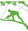 Tree Pruning, Trimming and Removal Services