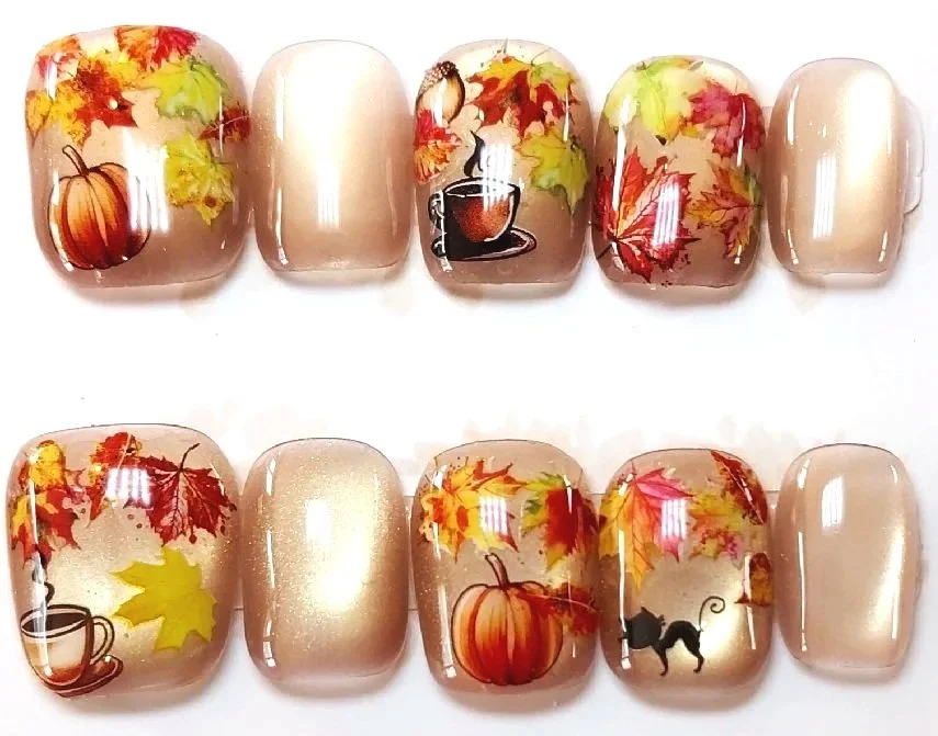 CC-704L  Fall Cat Eye Nails