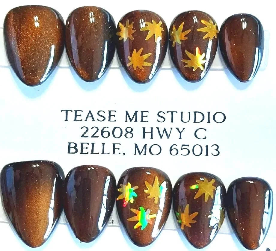TMS-2300  Fall Maple Leaves
