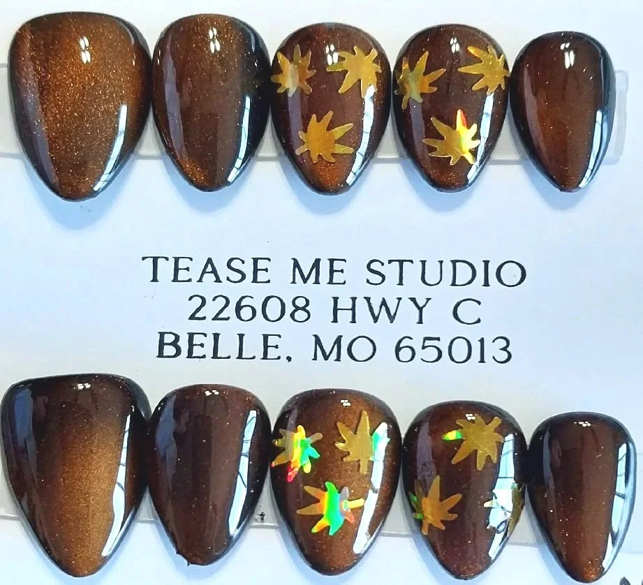 TMS-2300  Fall Maple Leaves