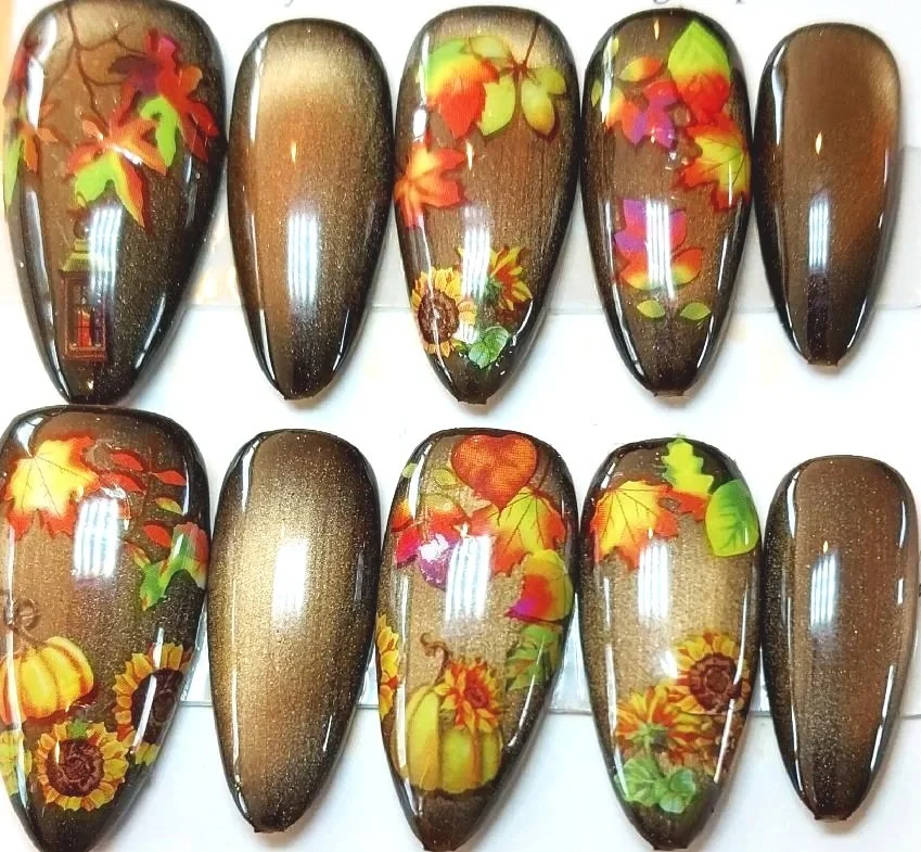 CC-826L  Brown Cat Eye with Fall Accents Nail Set