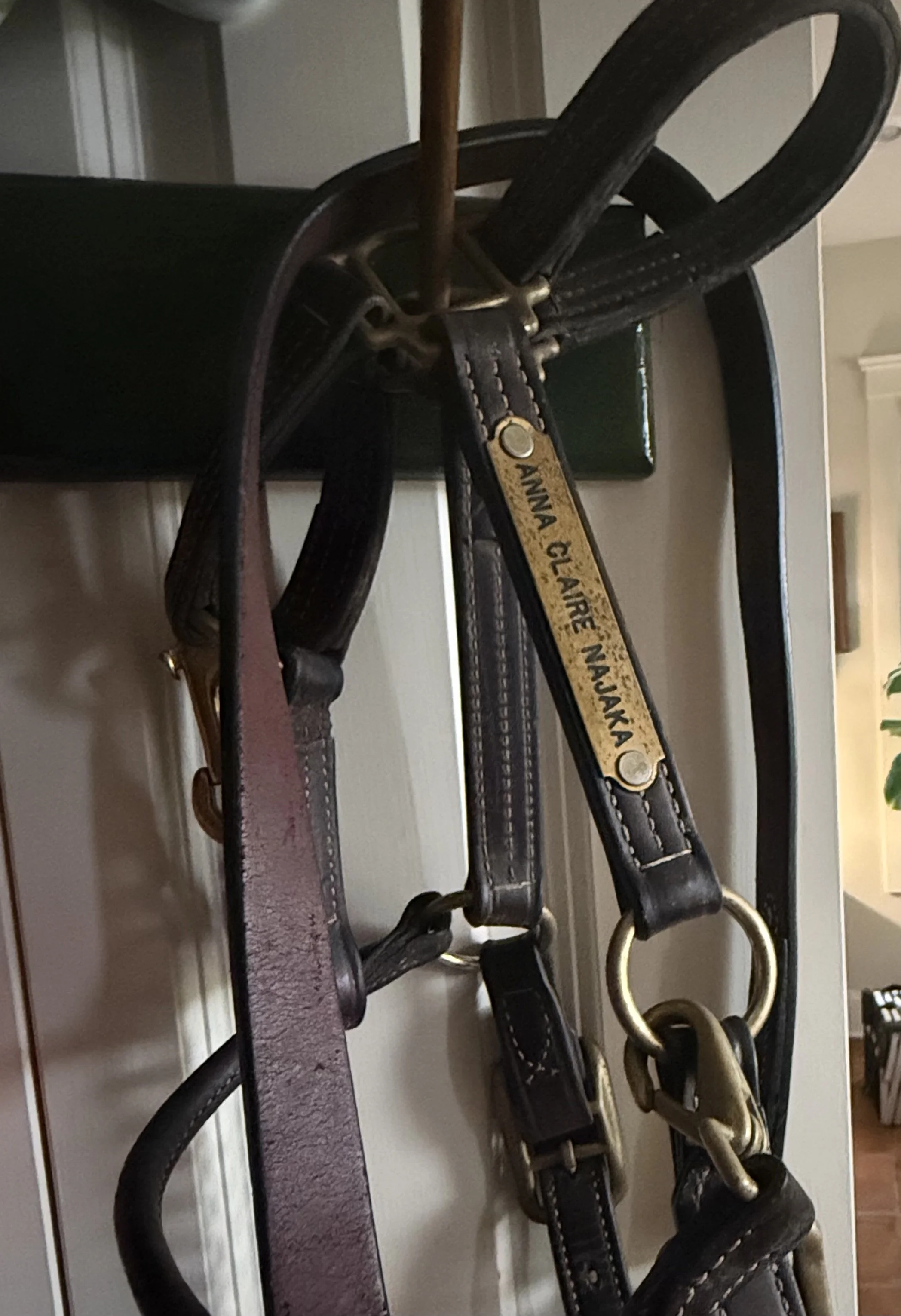 Wandering halters no more.