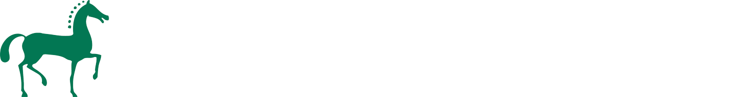 Your Site Title