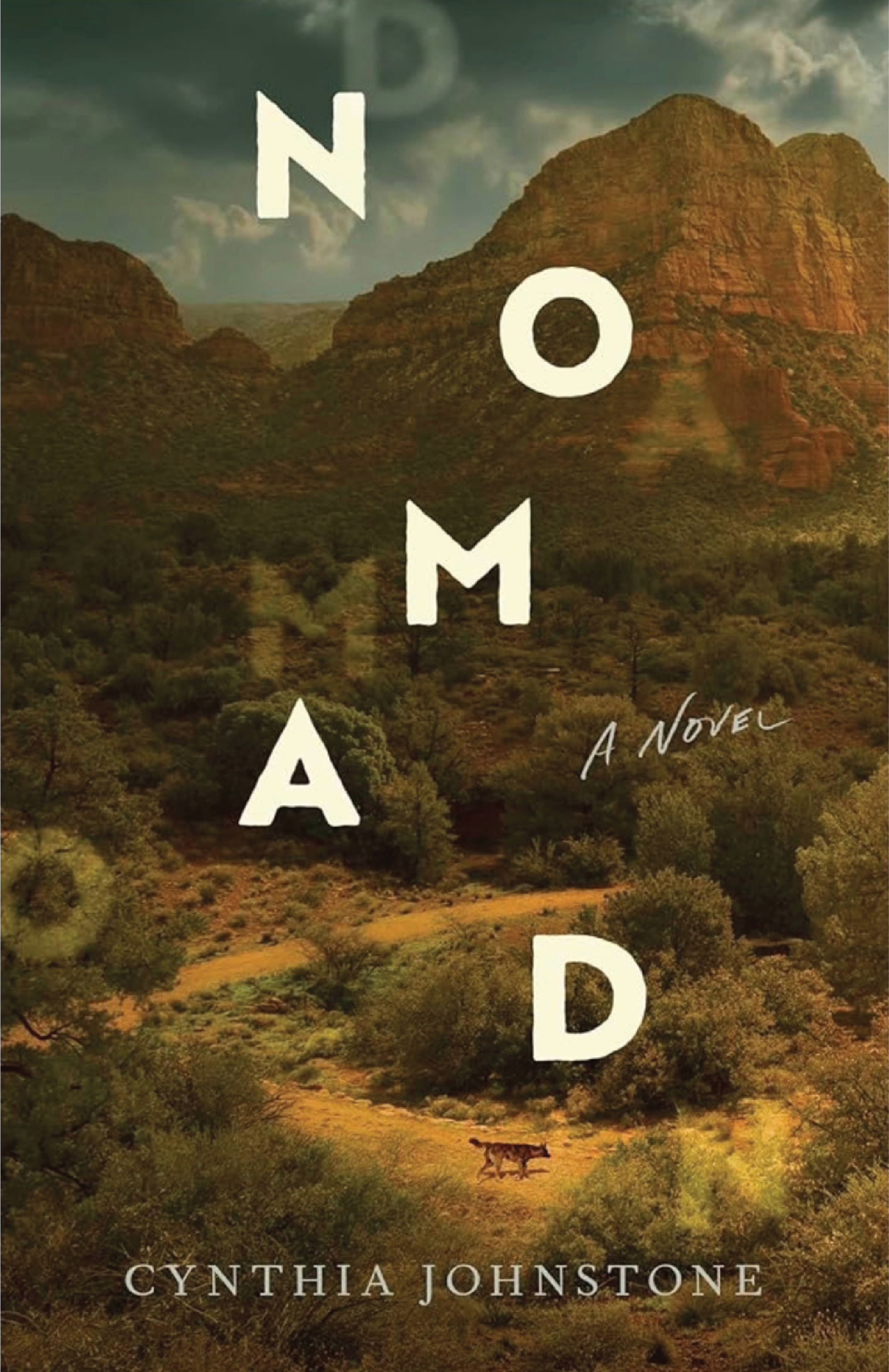 NOMAD a noval by Cynthia Johnstone