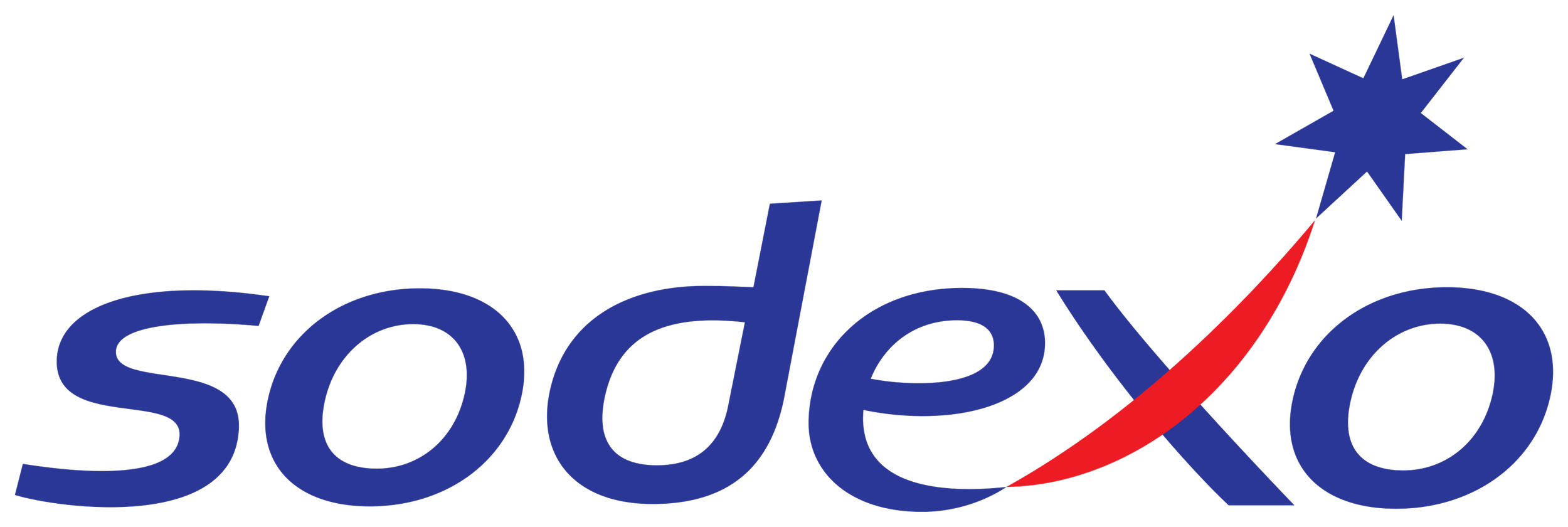 Logo of Sodexo with blue text and a stylized red and blue star and swoosh.