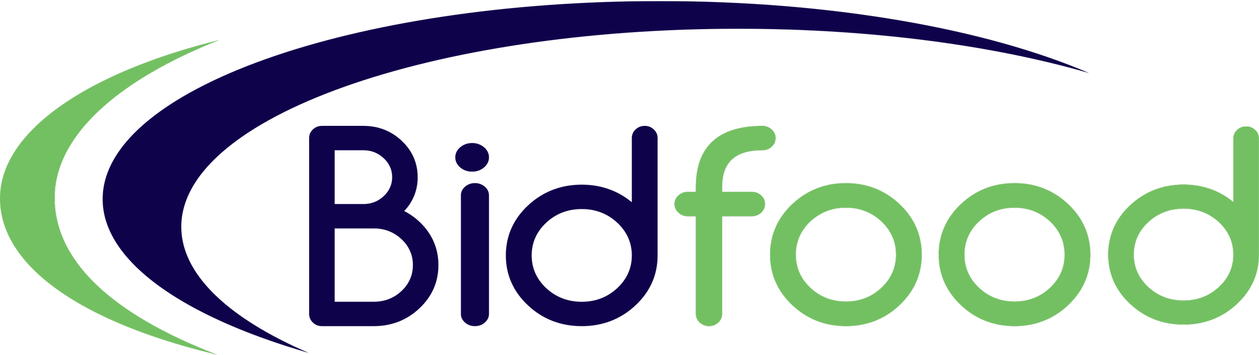 Colorful logo with the words "Bidfood" in large letters, featuring green, purple, and black colors.