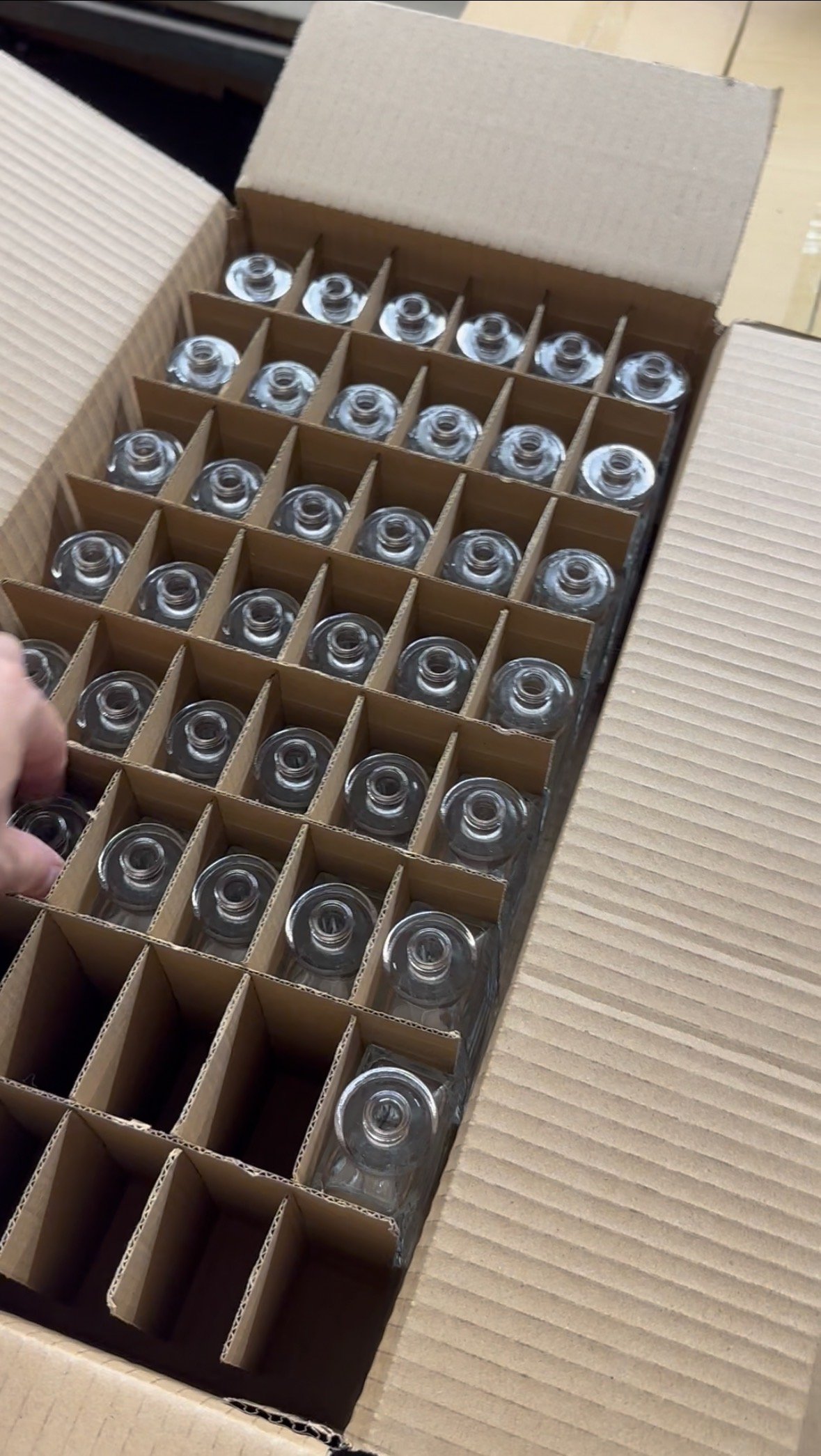 WeChat Image_20251117013228.jpg