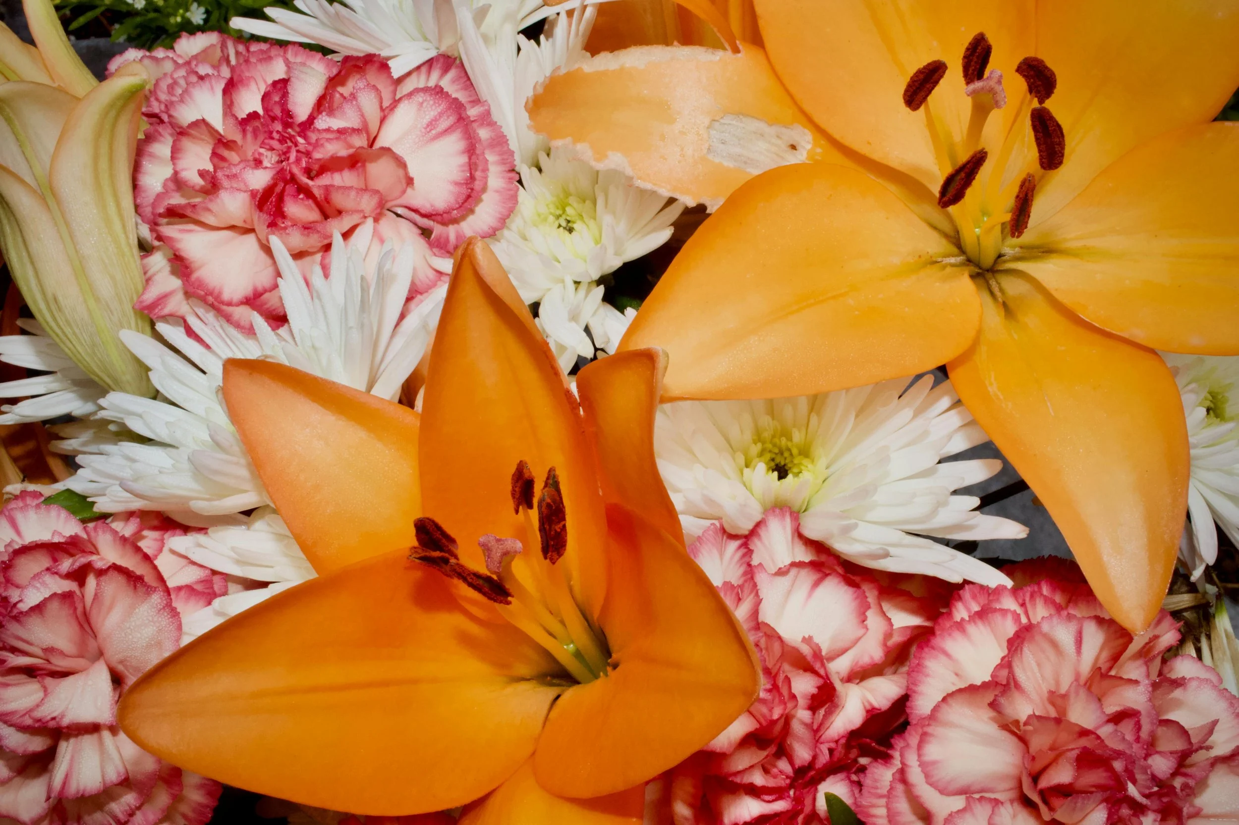 🌸 Sunday Reset: The $10 Flower Refresh