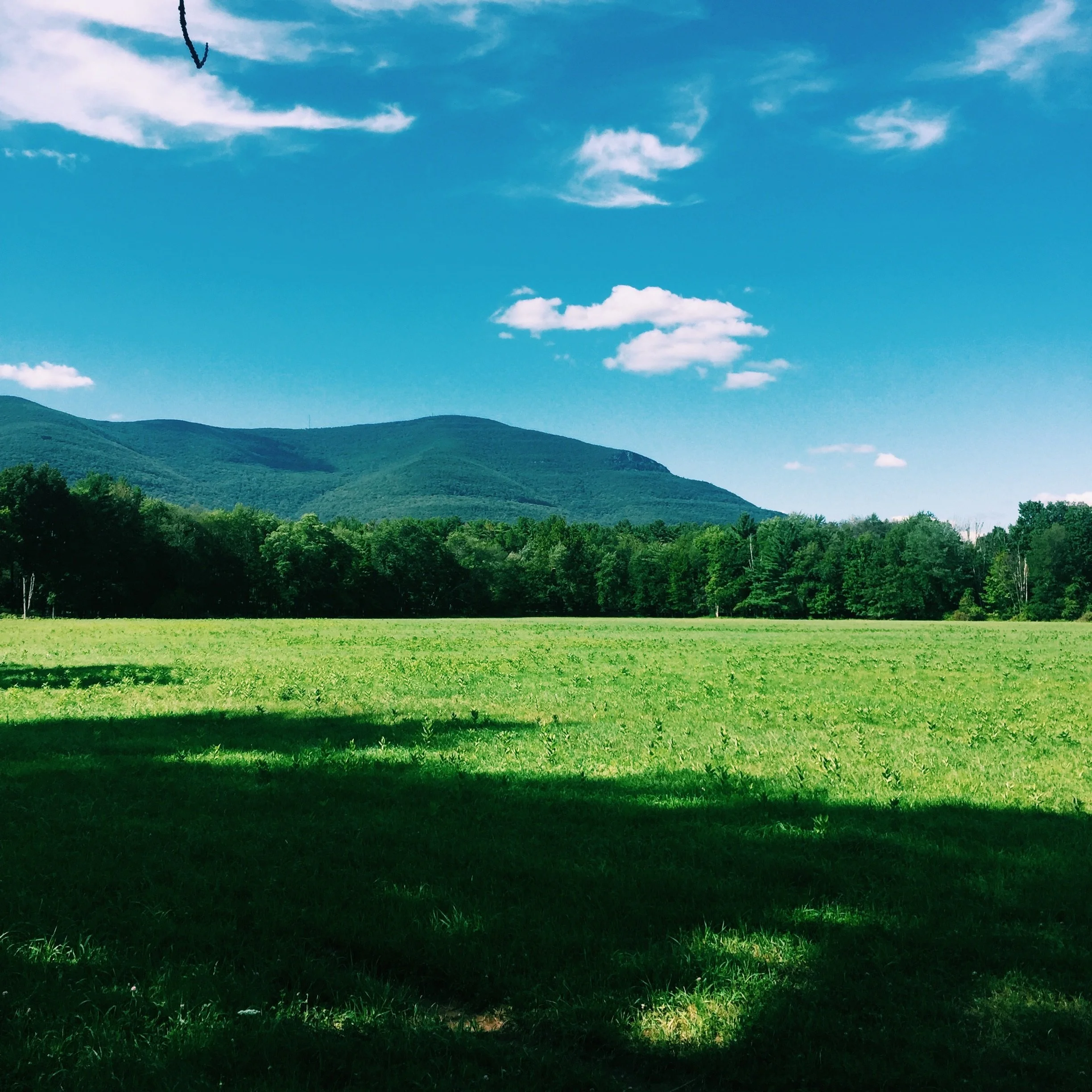 valley-orchard-wedding-bar.jpg	Bar setup at a Hudson Valley orchard wedding