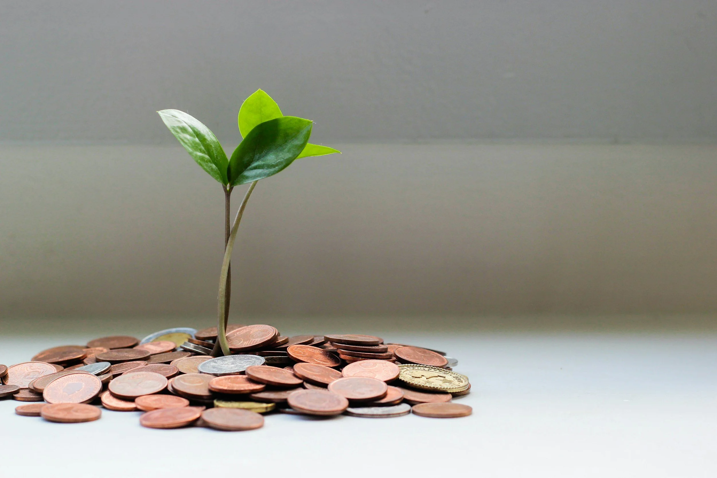 A small green plant growing out of a pile of various coins, symbolizing financial growth or investment.