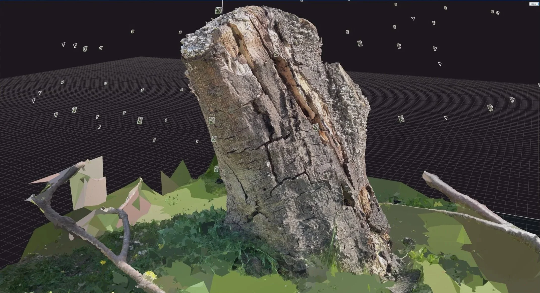 3D digital rendering of a tree trunk with branches and grass at the base, surrounded by a virtual environment grid and wireframe elements.