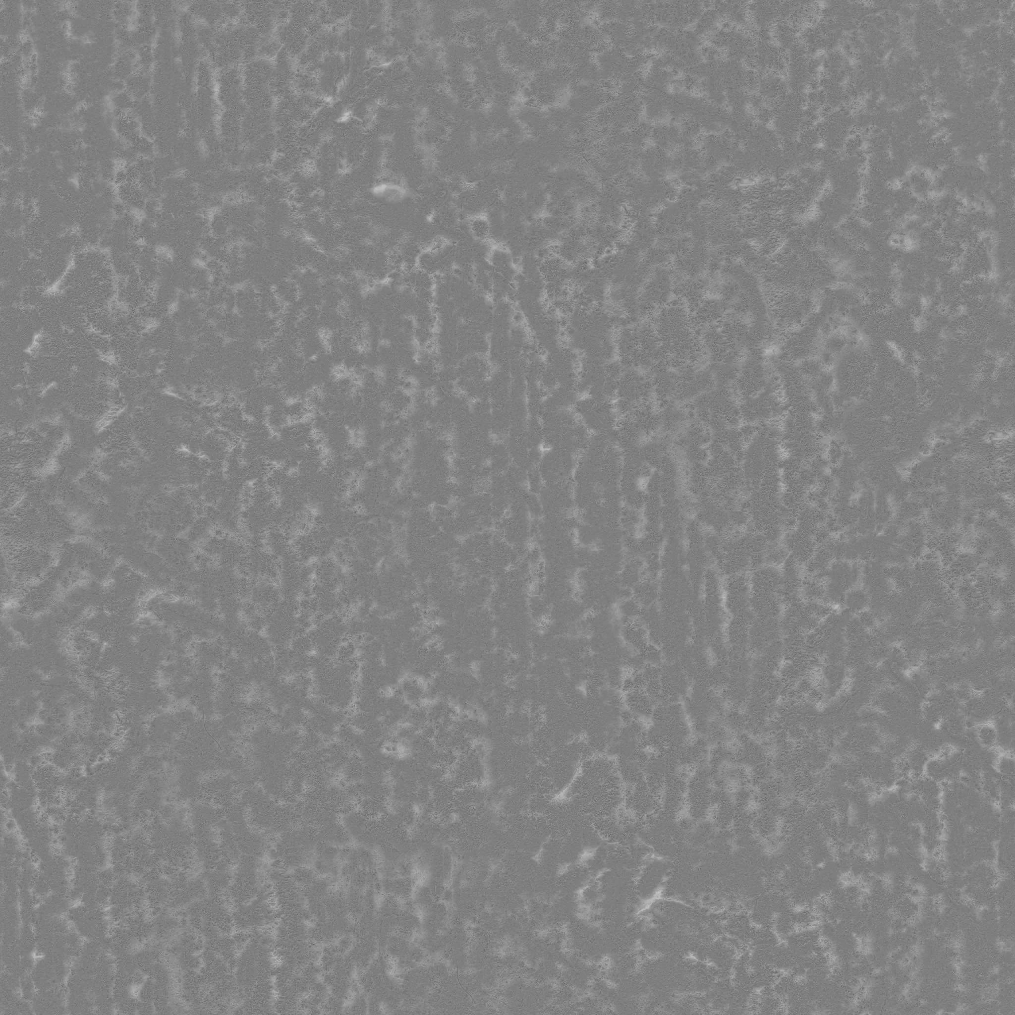 Close-up of a gray textured surface resembling concrete or stone.