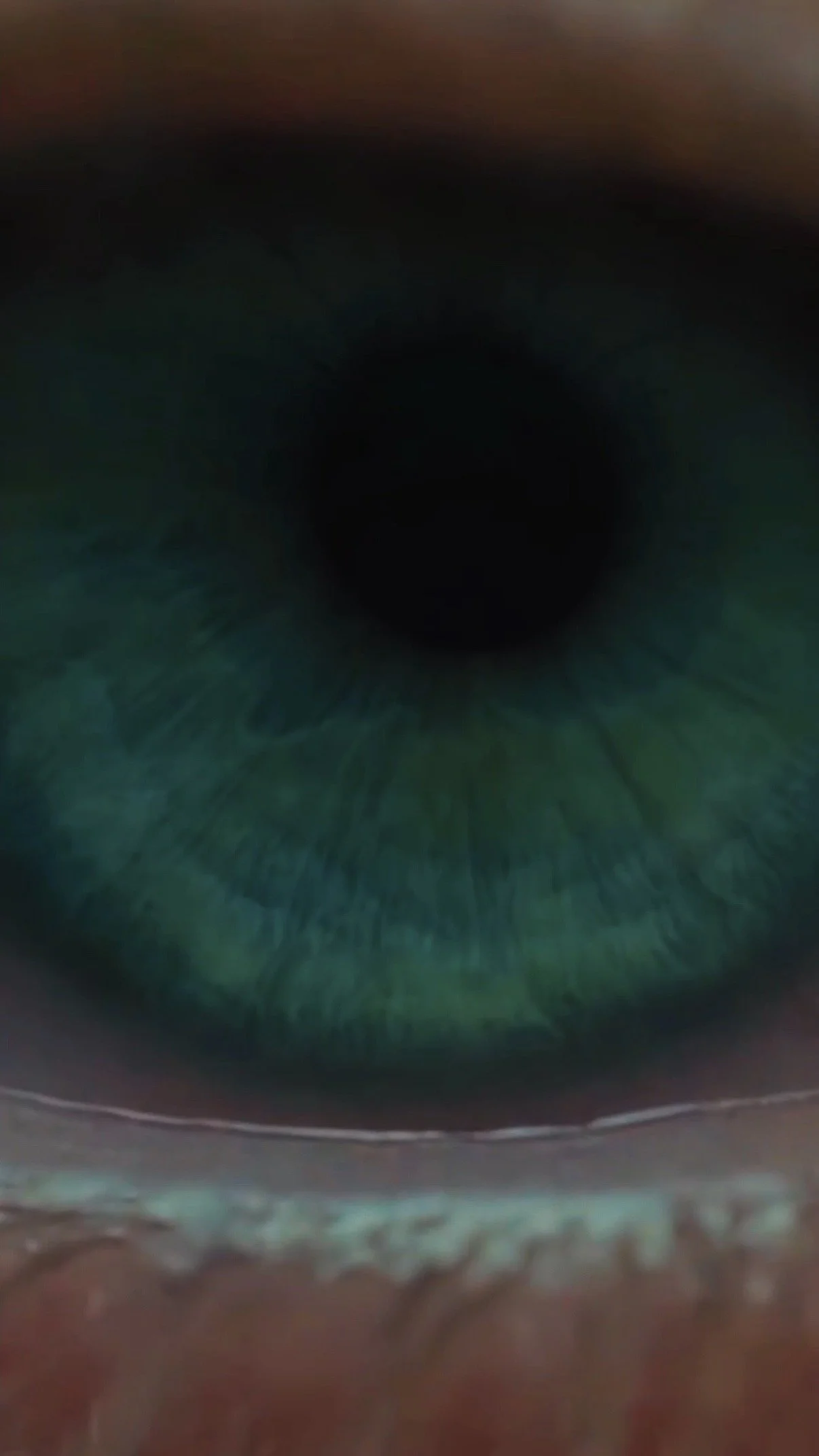 Bladerunner 2049 Edit