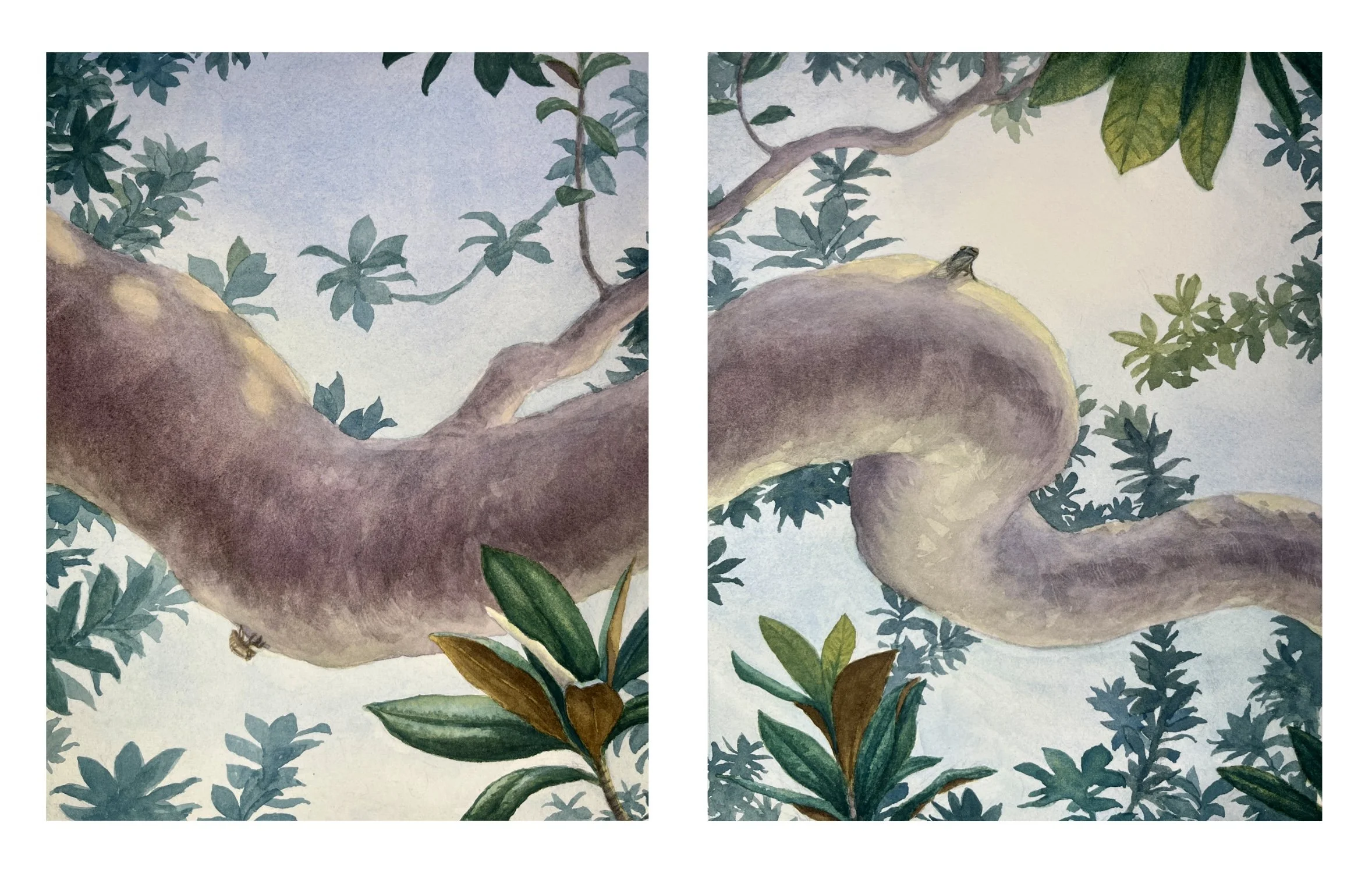 Voyage to the Sun - At first, a magnolia seed and a cicada know only darkness, until one day they escape the soil, shedding their shells, and climb upward to bask in the sun.
[Available]