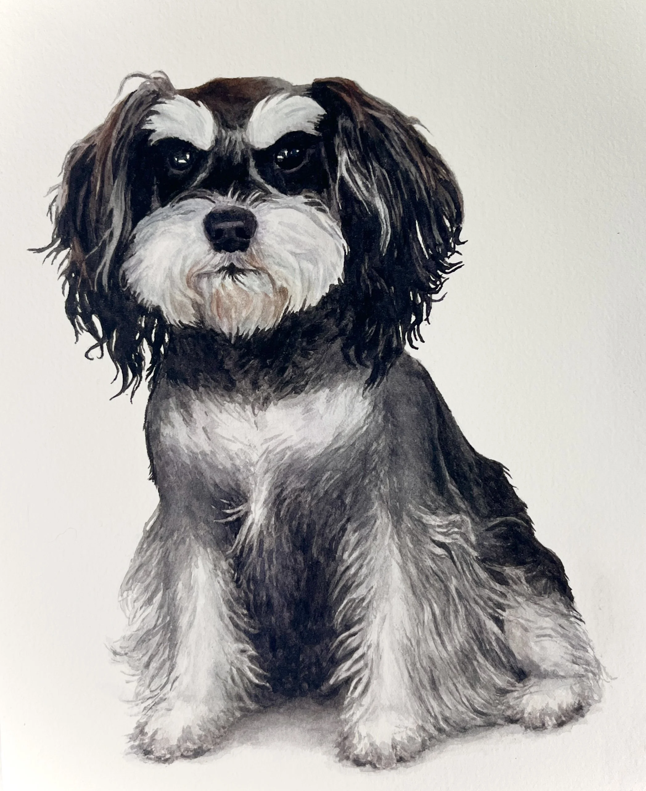 Dude - A watercolor portrait of the most loyally protective schnauzer I have ever met.
[Sold]