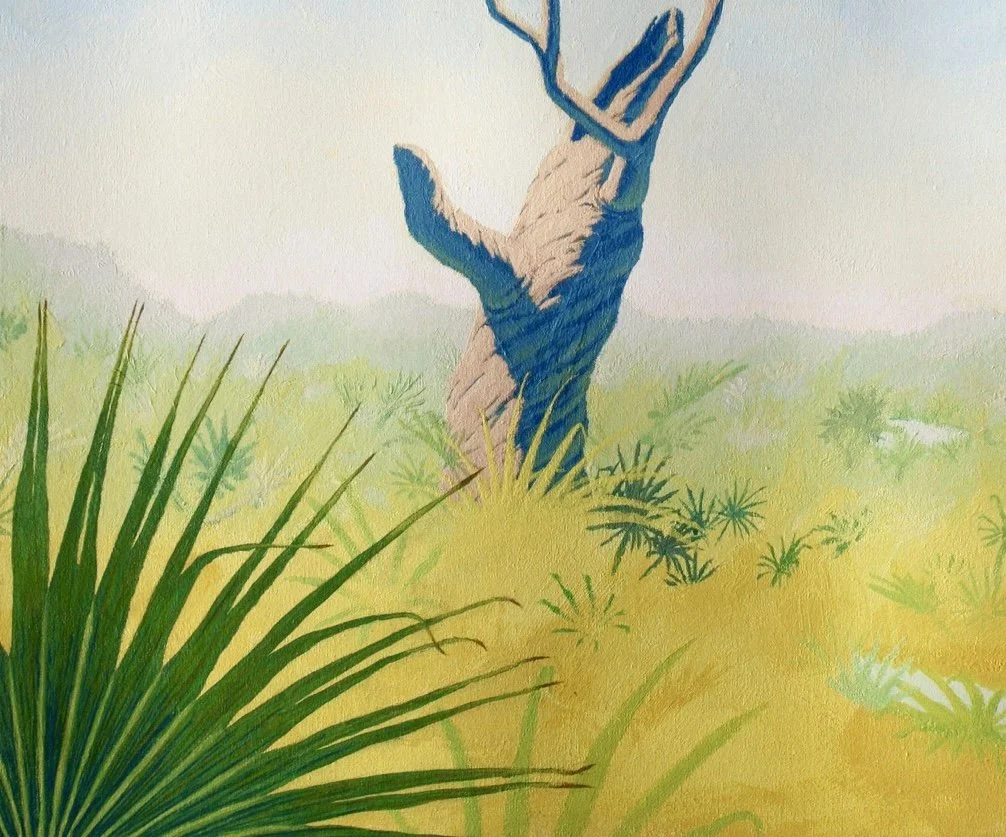 Skidaway Tree - When I came across this ancient oak on a hike, it seemed to have a long and twisting story to tell