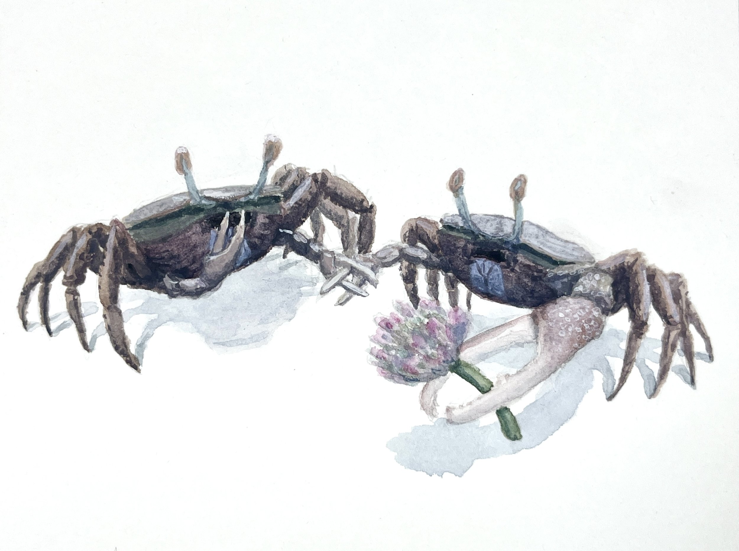 Virginia Is For Lovers - Top scientists most likely agree that fiddler crabs are very romantic.

Originally created as part of a series for the “XS Tiny Artworks” show at the Virginia Beach Art Center.
[Sold]