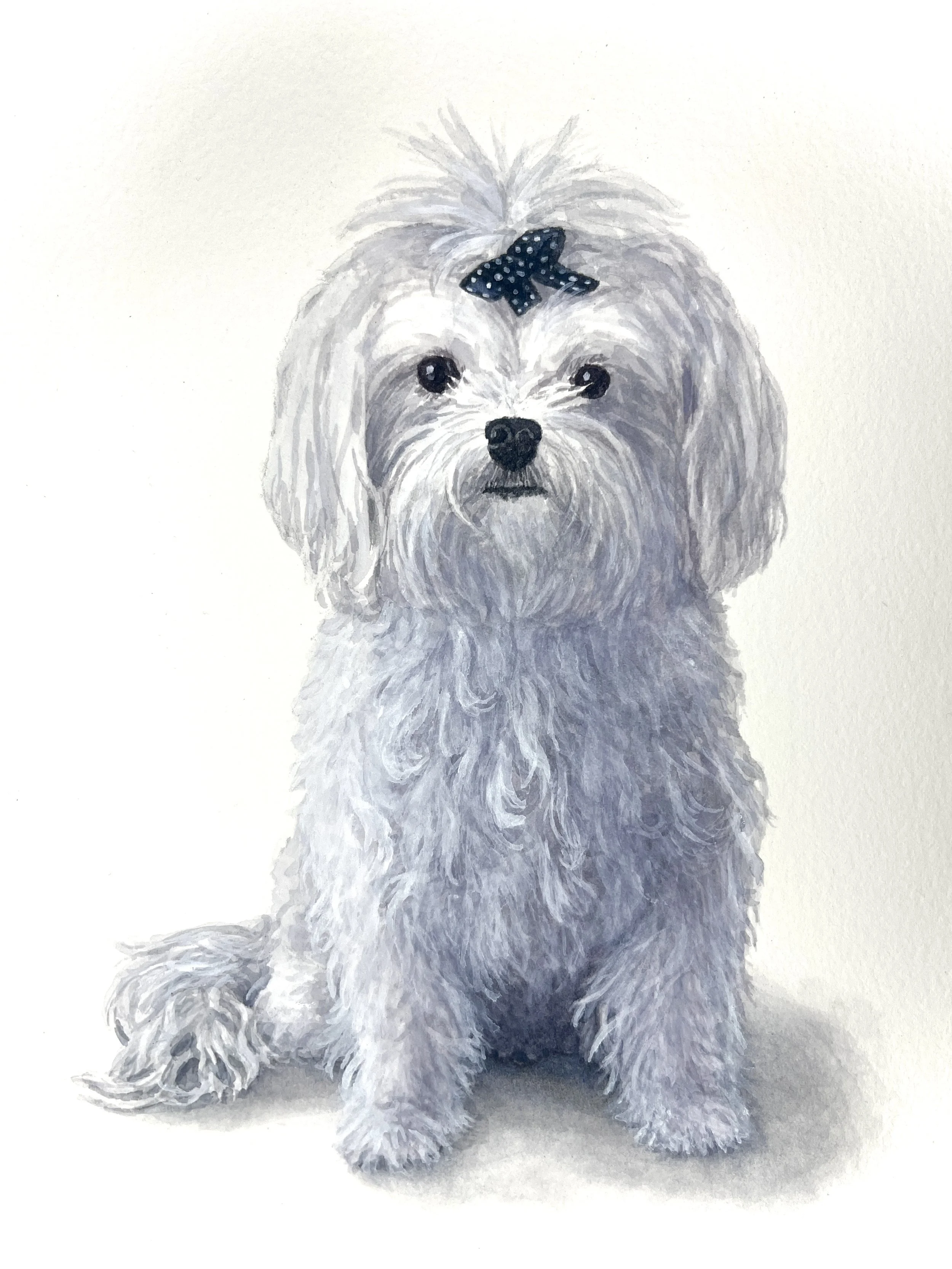 Rosie - The undisputed matriarch of her family.
[Sold]