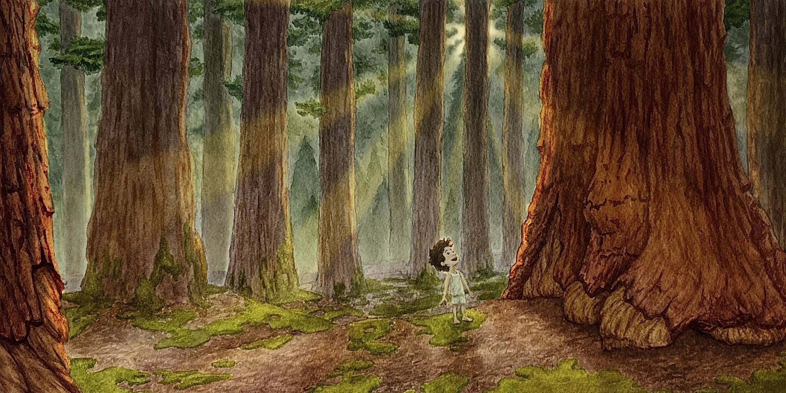 Sequoia Towers - A double-page spread from the upcoming children’s book ‘The Missing Light’ written by the talented author, Erin Todd