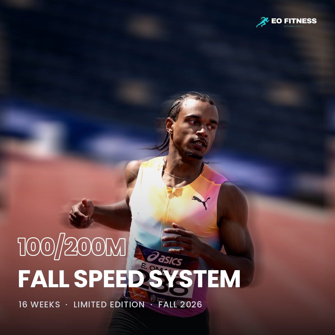 100/200 Fall Speed System