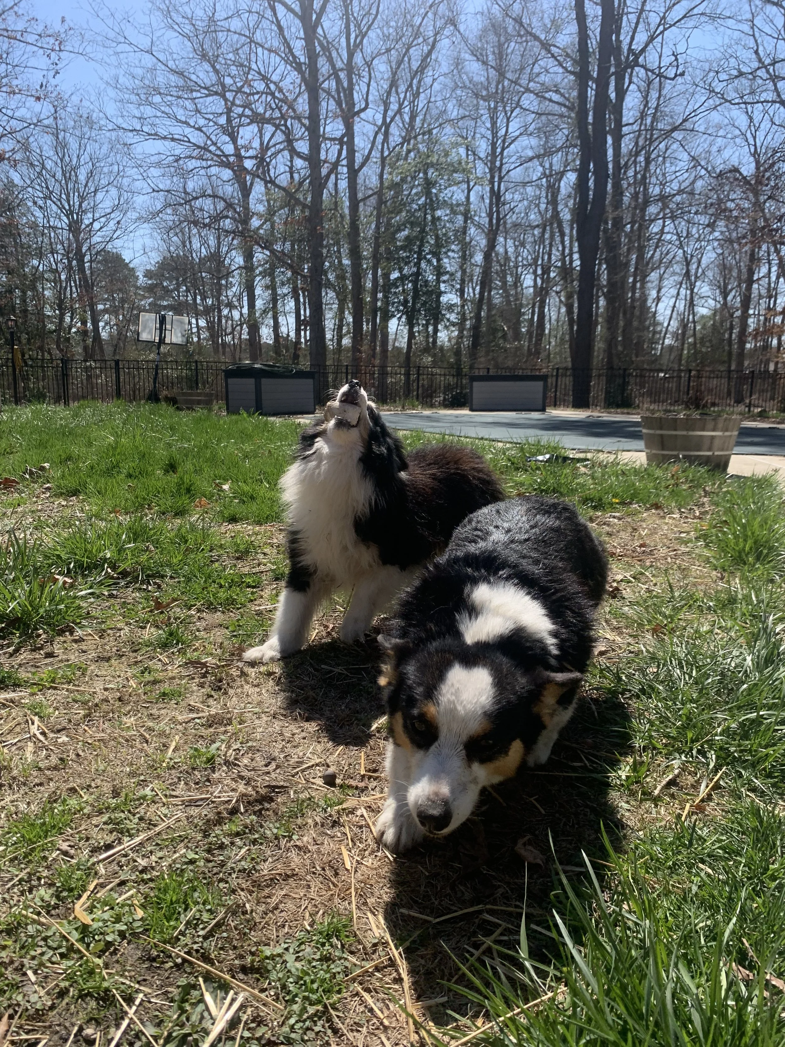 Quick Visit / Date Night