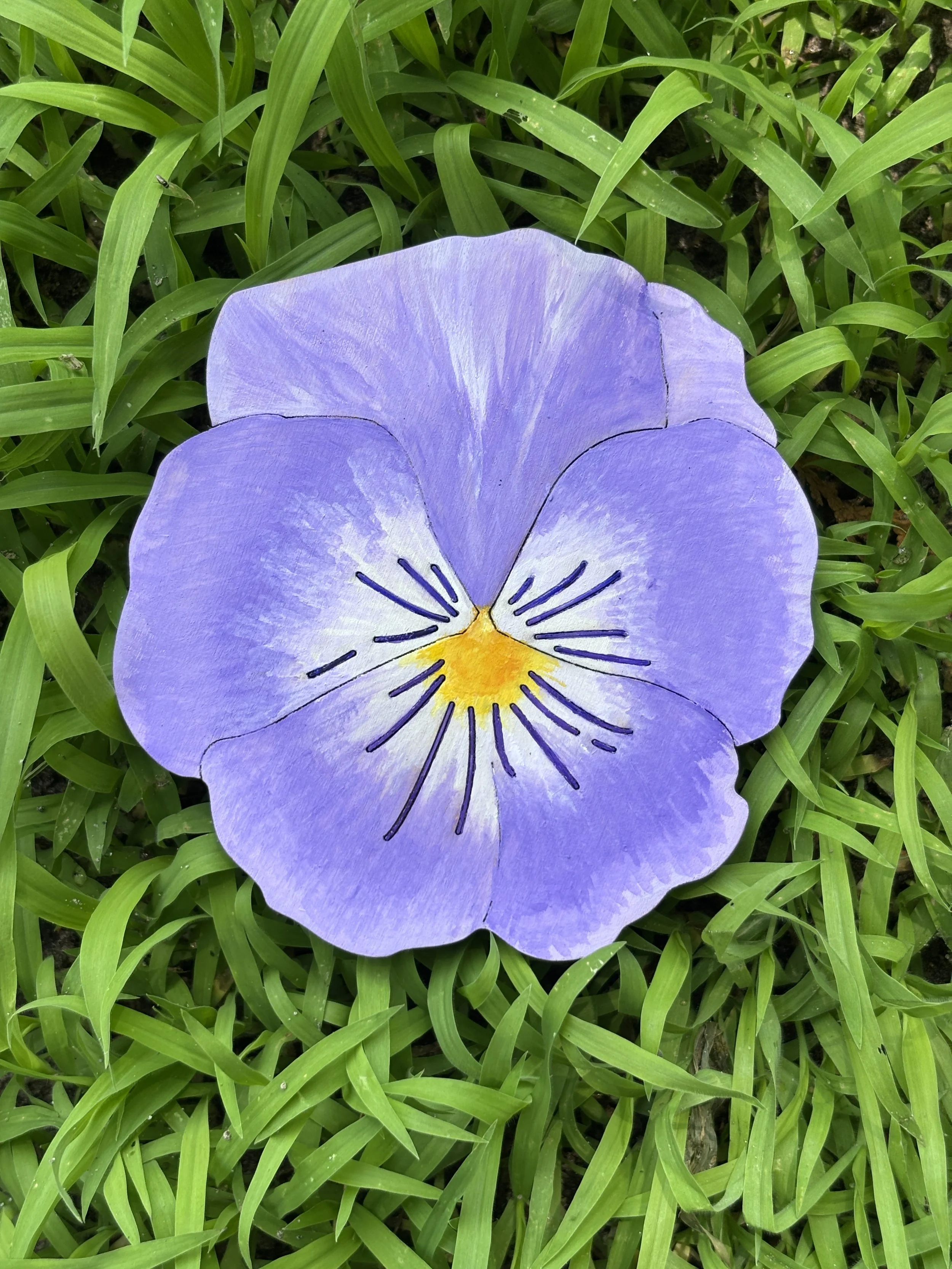 Pansy
Gouache
4"