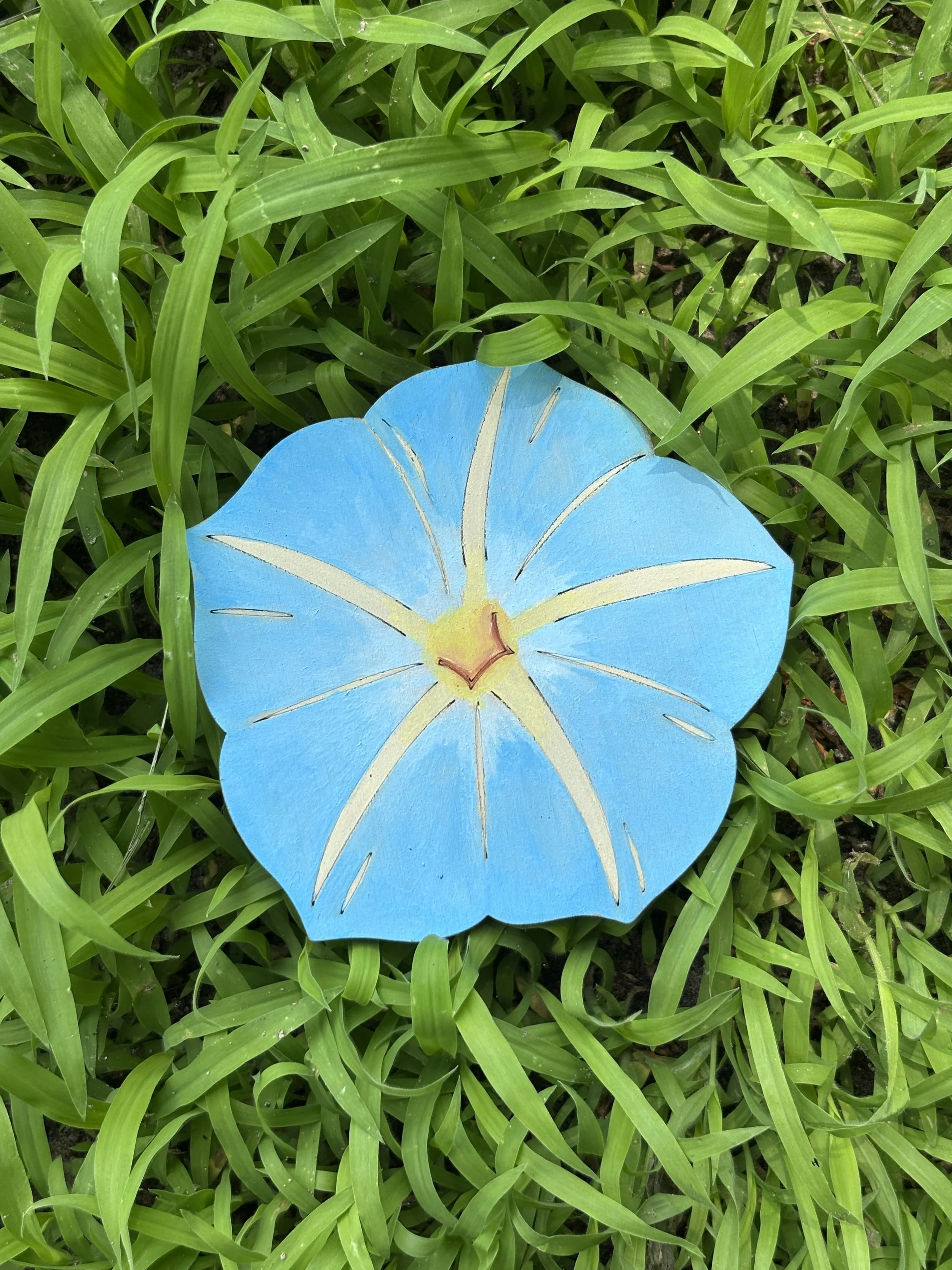 Morning Glory
Gouache
4"