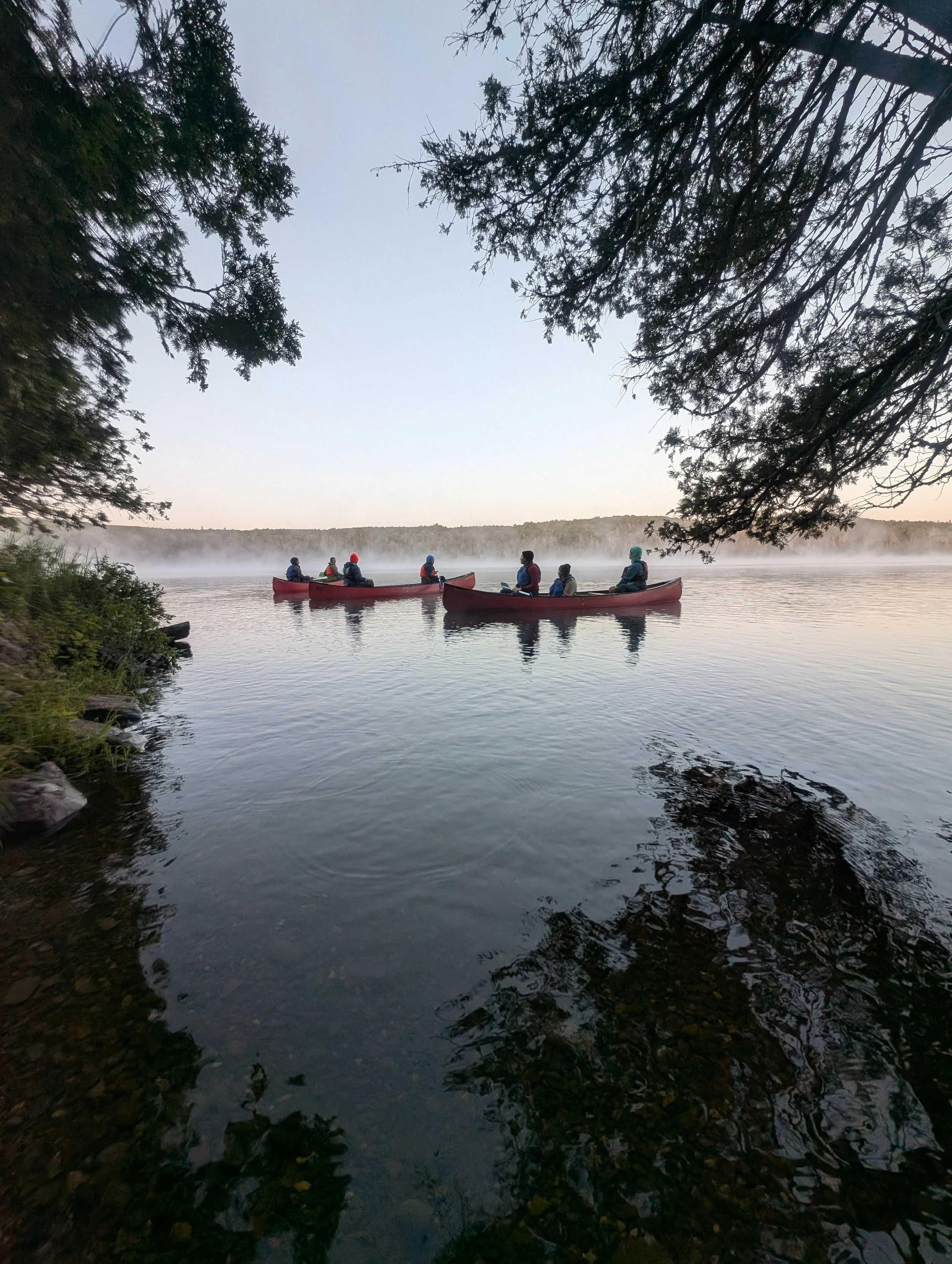 People canoeing on a misty river at dawn or dusk, framed by tree branches overhead.