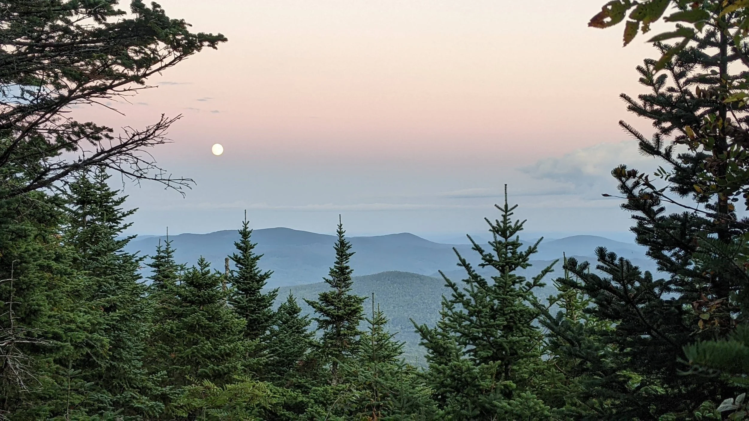 Mountain landscape with numerous pine trees in the foreground, rolling hills in the distance, and a full moon in a pastel sky.