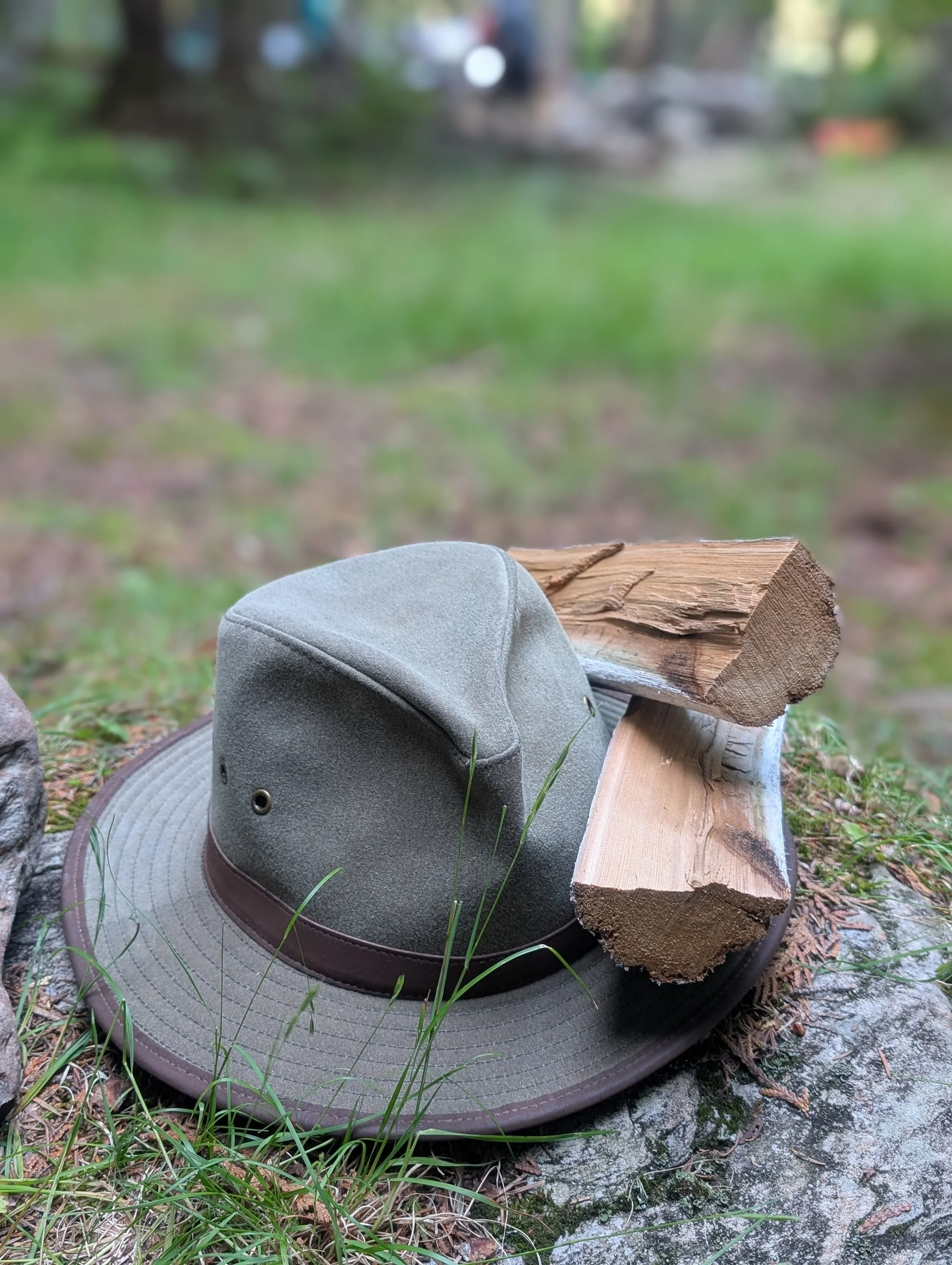 Close-up of a gray and brown hat resting on a flat rock, with a lumber piece and a small green plant in the foreground, in a forest setting with blurred trees and grass in the background.