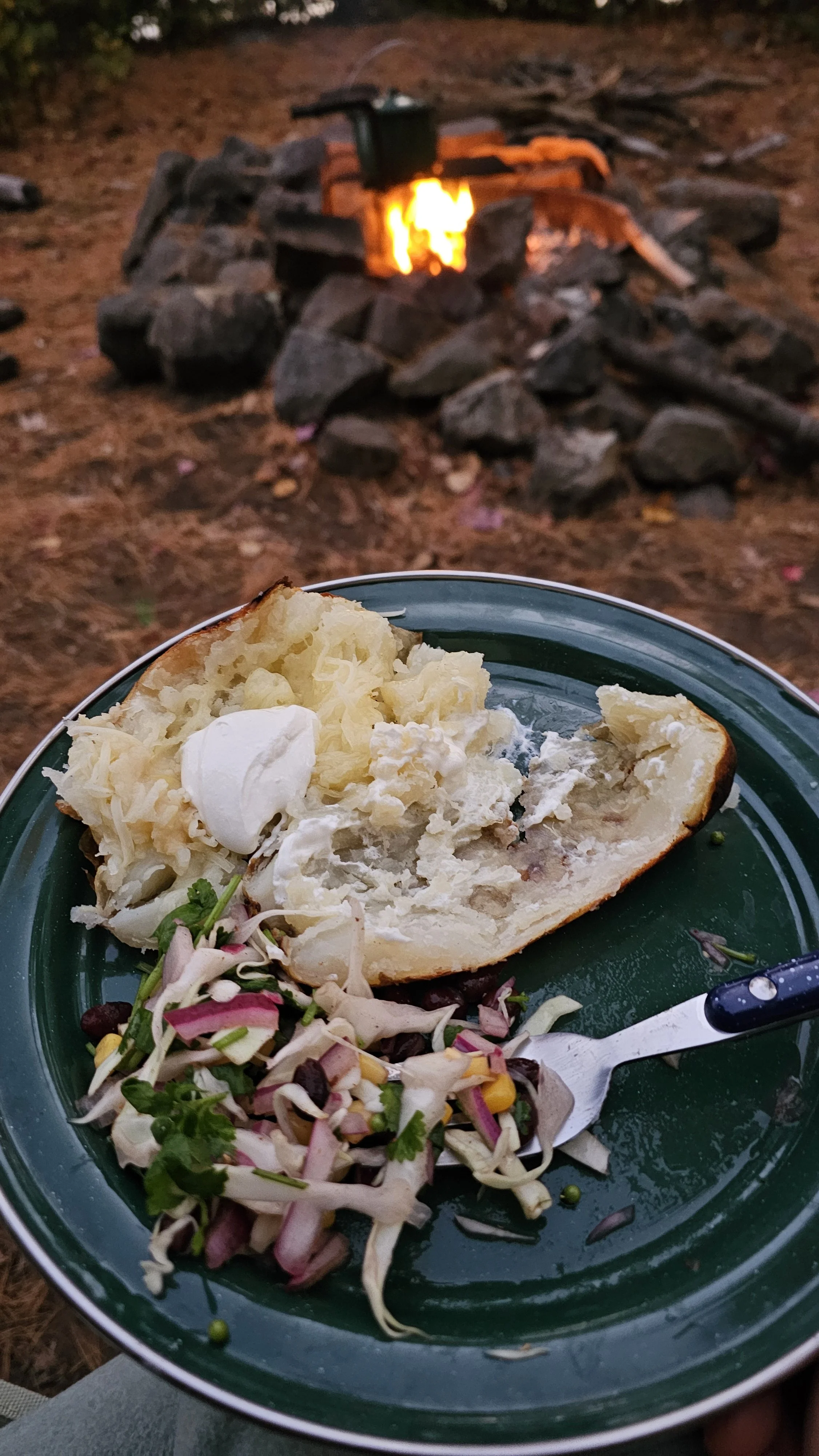 A plate with a baked potato, fire roasted garlic, and a mixed salad with vegetables, in front of a campfire made of rocks and wood.