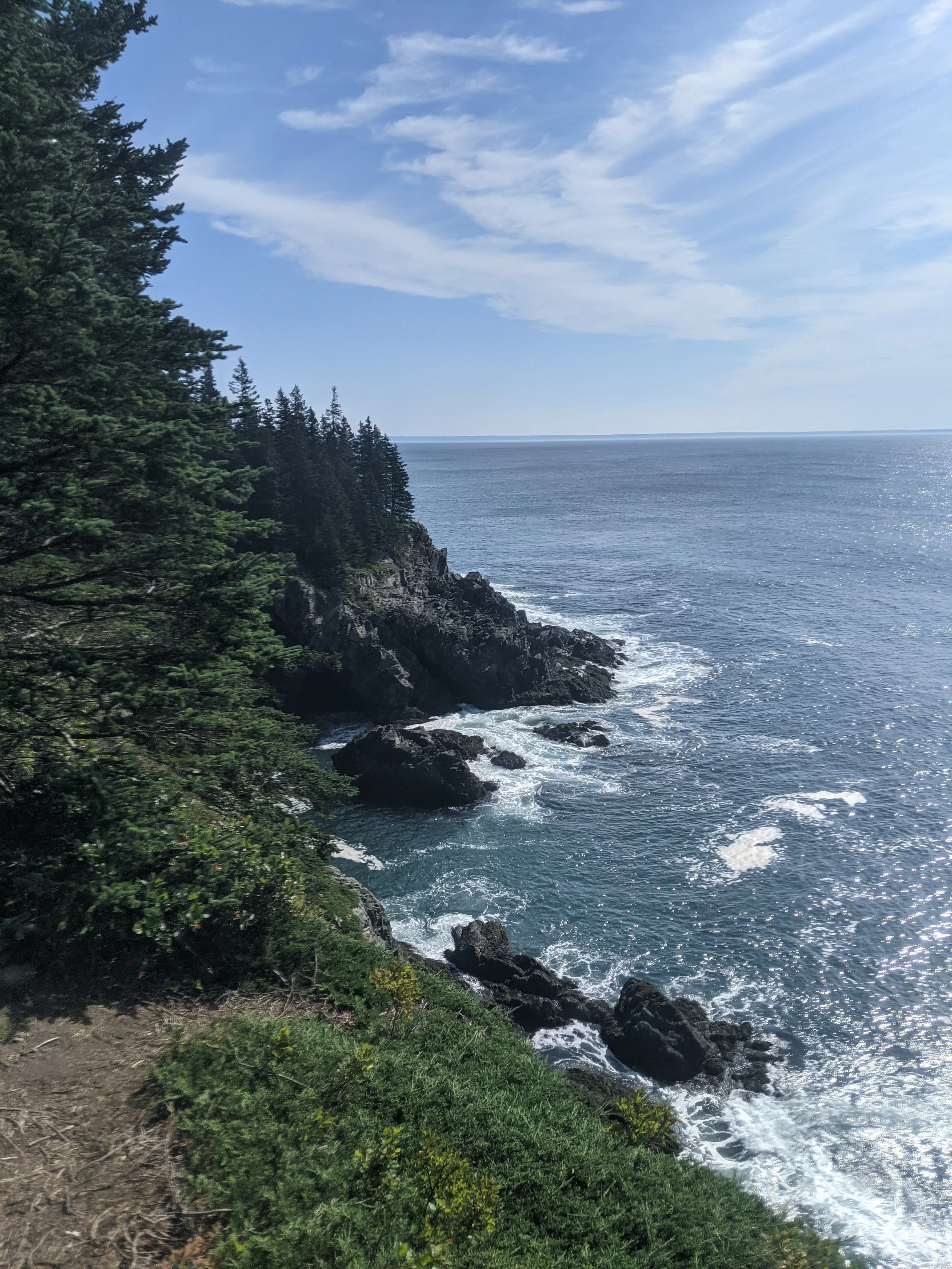 Hiking along the the Rocky Maine Coast in Cutler. Steep, spruce-covered, cliffs drop off into the ocean on a clear day.