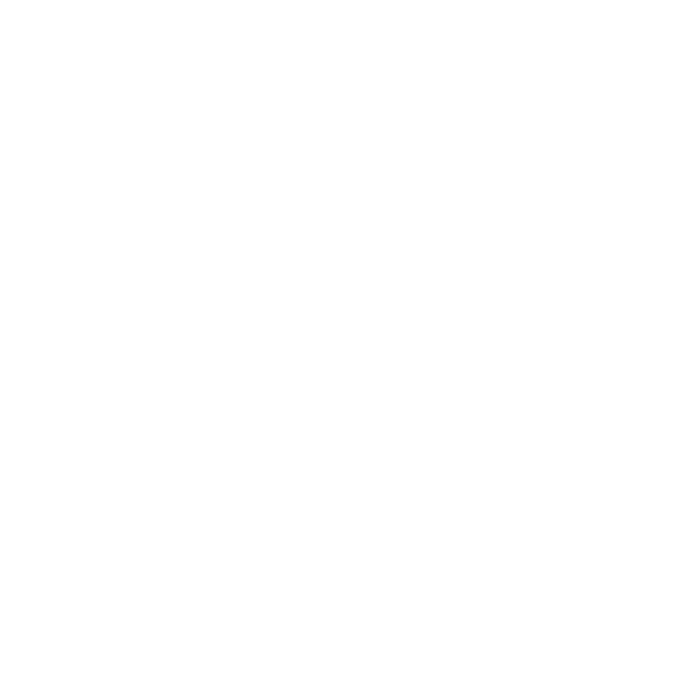 Palm Pixel Studio