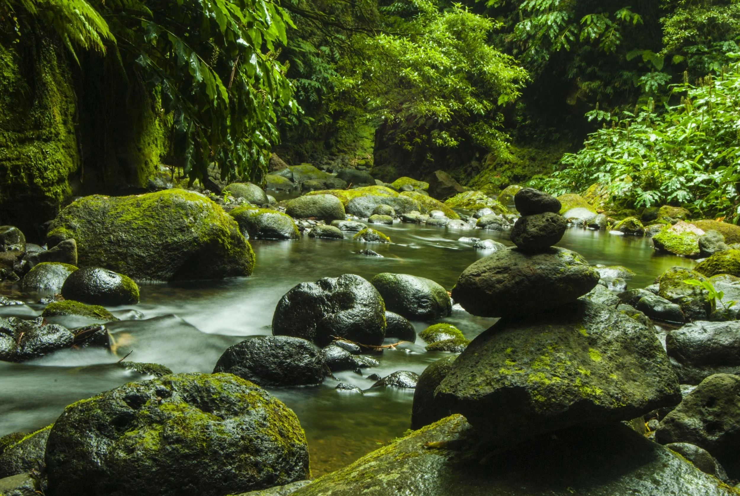 Holistic Transformation: How do I align every area of my life when it all seems like so much?