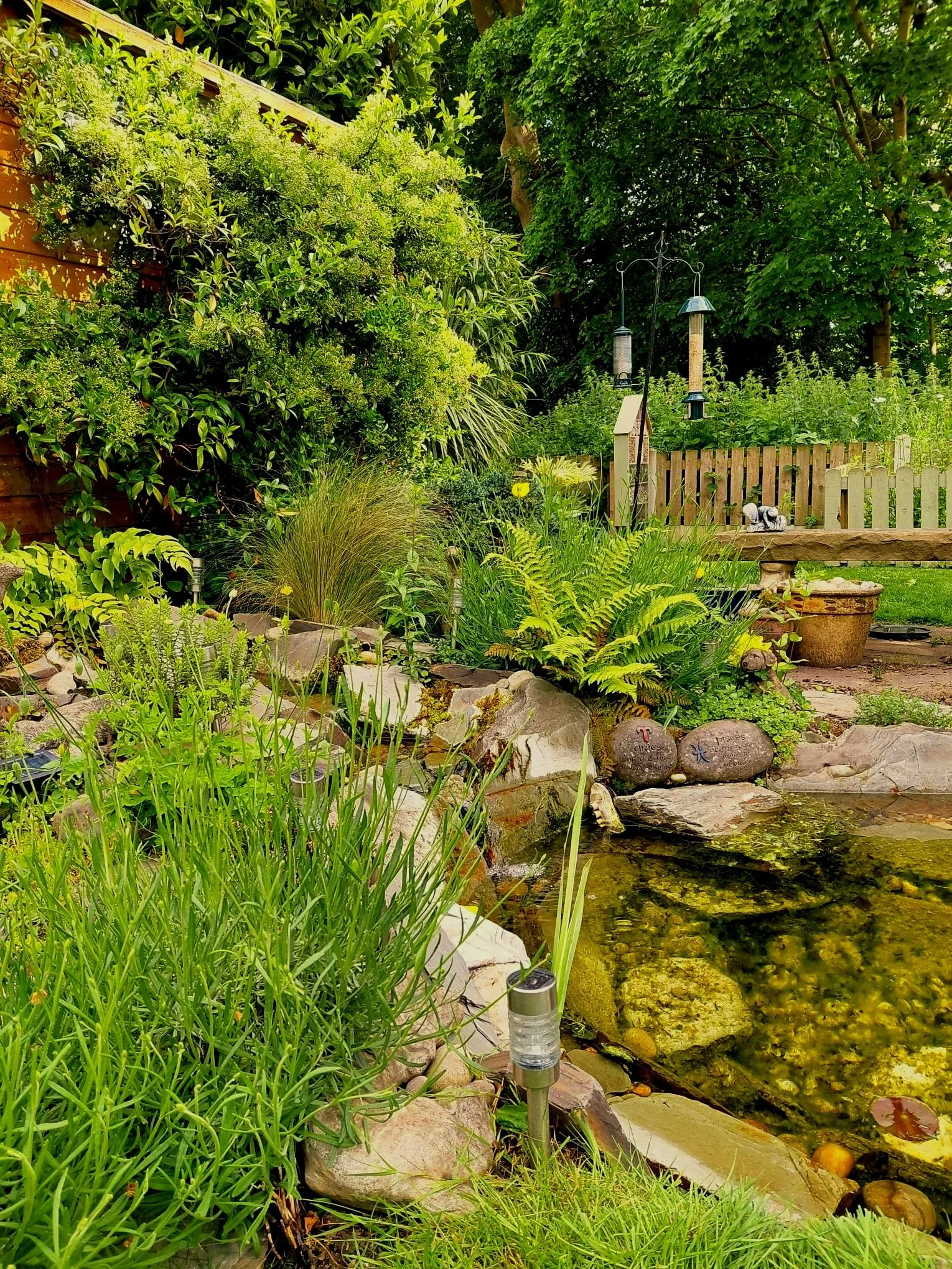 A new waterfall and pond with seating area, creating a natural corridor between the house and the woodland beyond.
