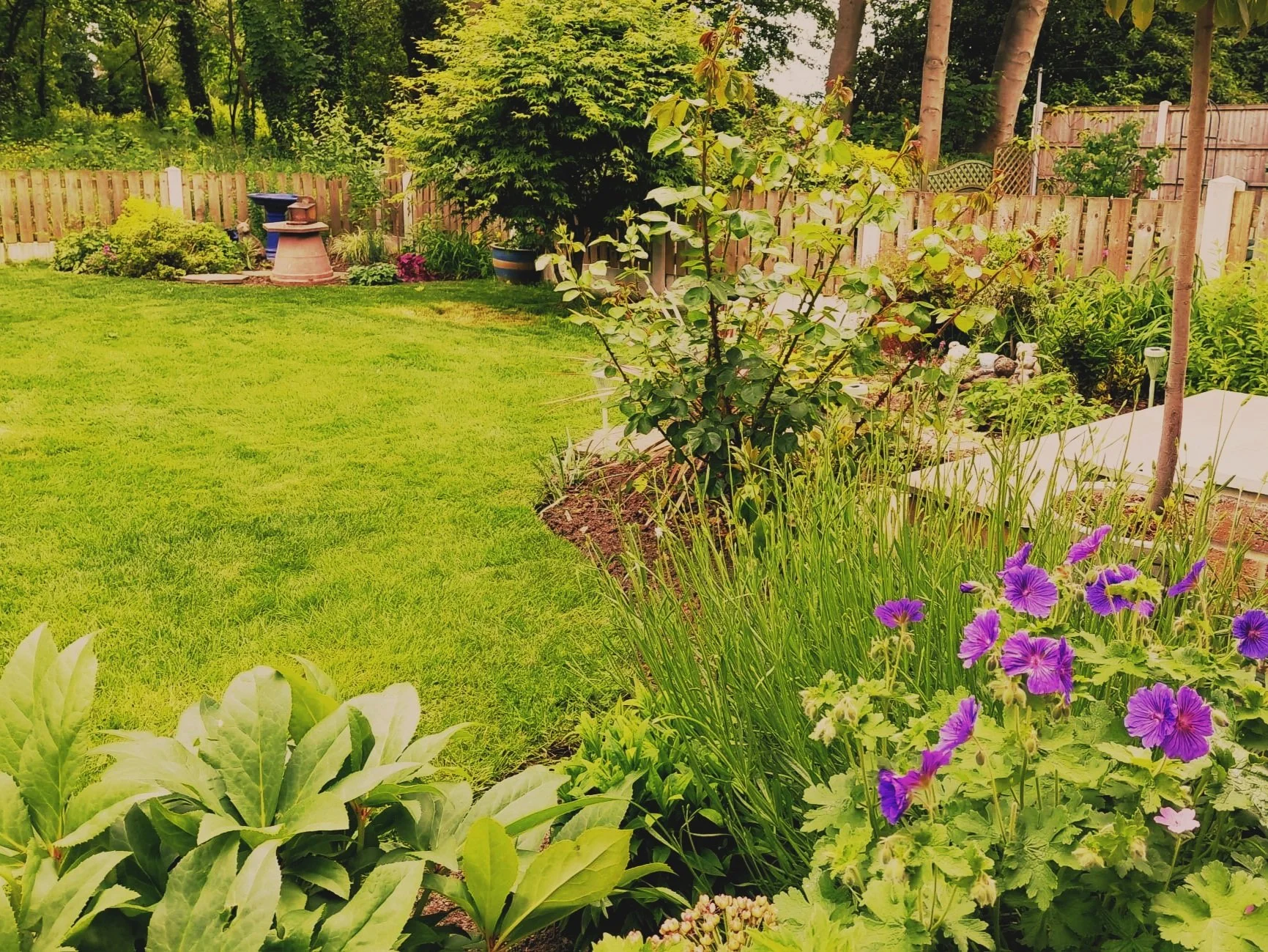 The sweeping lawn retained and reshaped, adding a 'grassland' between beds and providing a light and open feel between the heavier structures of the house and larger woodland trees. 