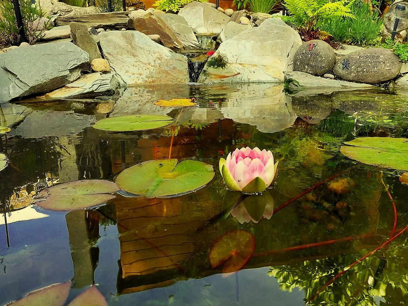 A tranquil and spiritual space for the clients, and a new valuable water source for insects, birds and other animals. 