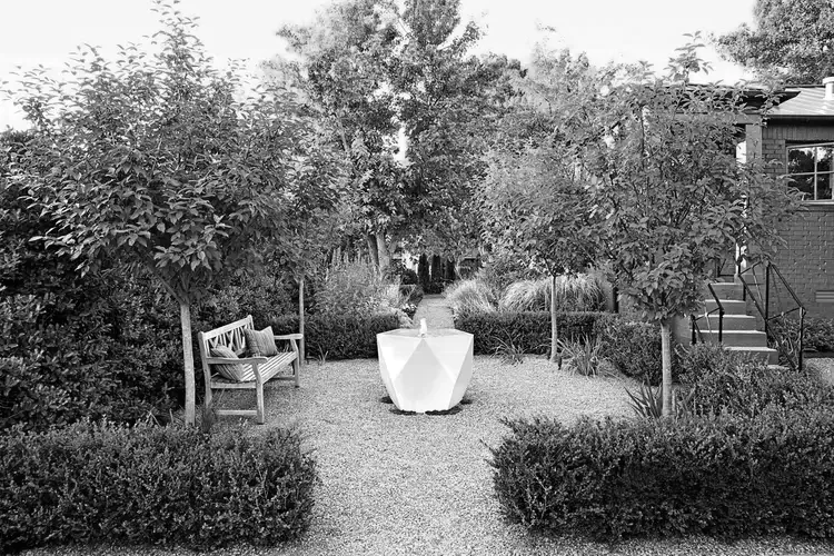 Residential woodland edge garden   |   Leeds    |   UK