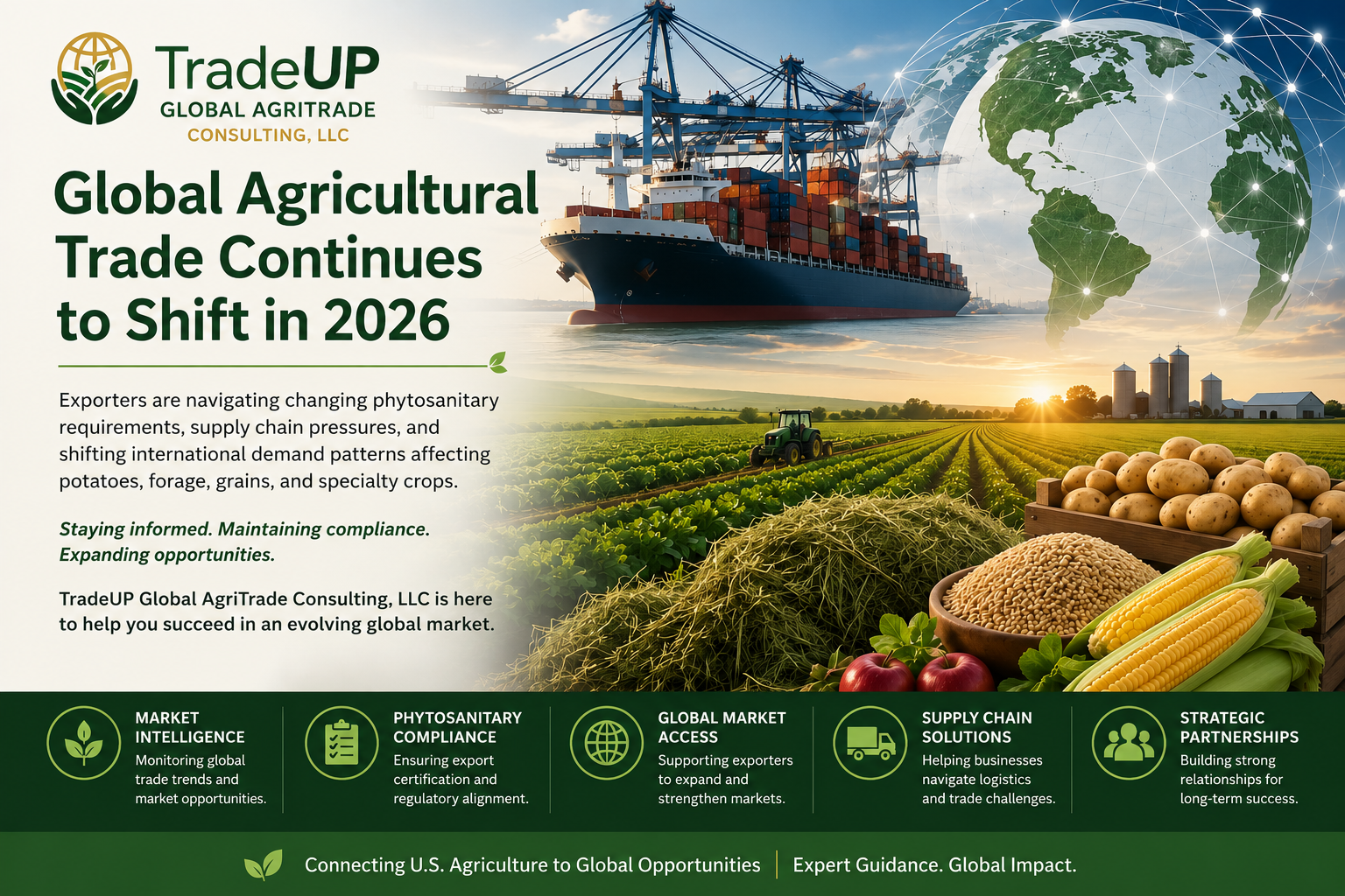 TradeUP Market Insights