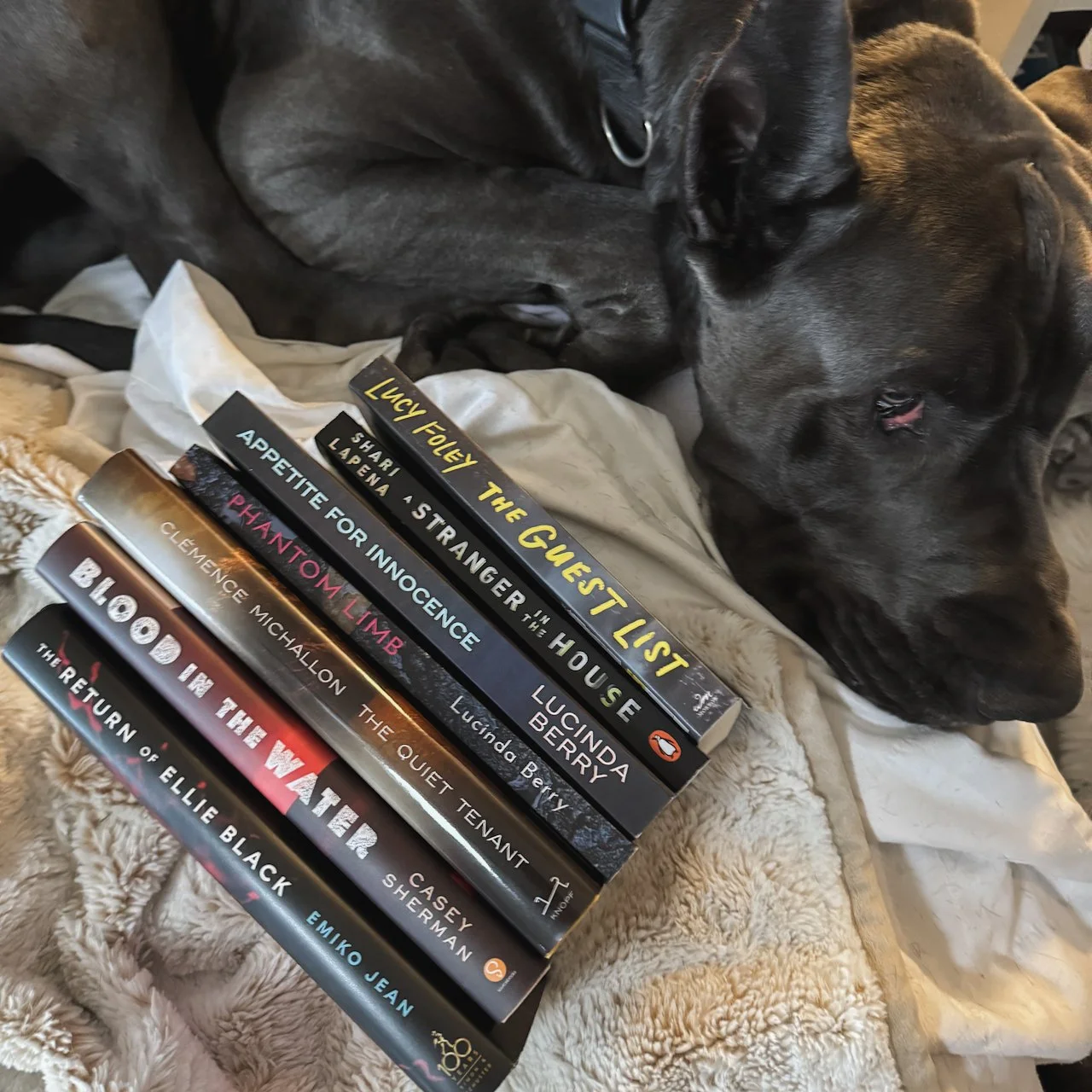 Photo Apr 15 2025, 6 18 49 PM (2).jpg