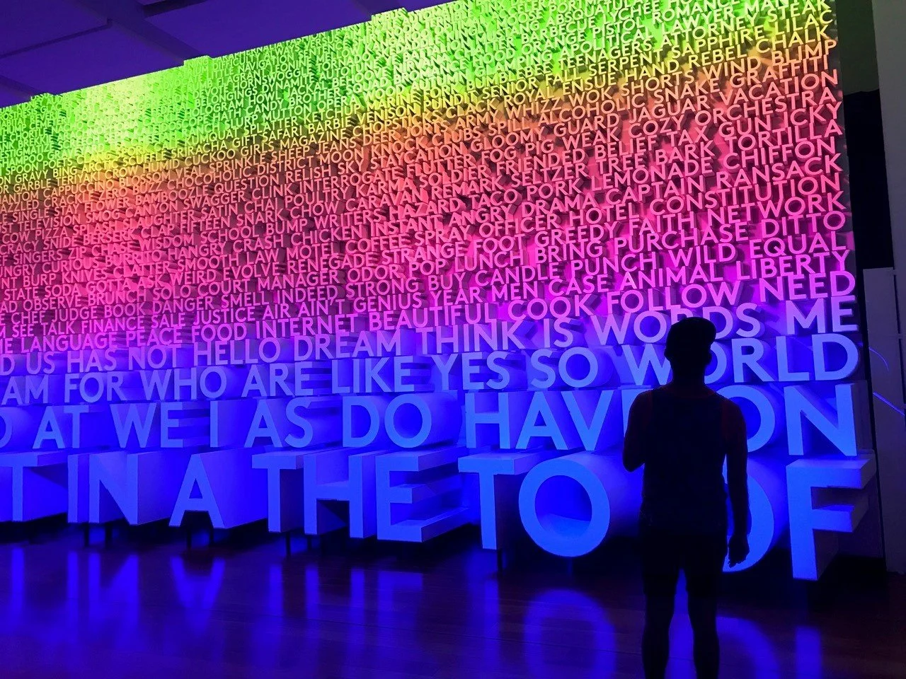 Talking-Wall-in-Color-at-Planet-Word-by-Corinna-Metcalf.jpg