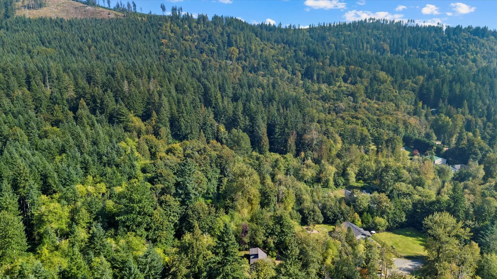 31-DJI_20250923143701_0367_D.jpeg