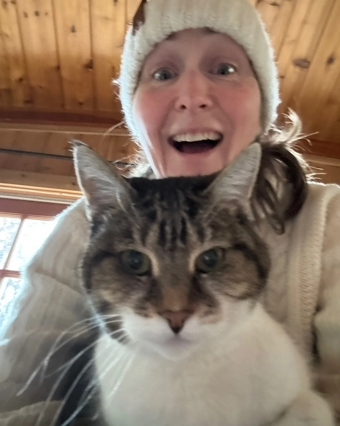 My mornings are magic because of these two..
#love #cabin #mountain #cats