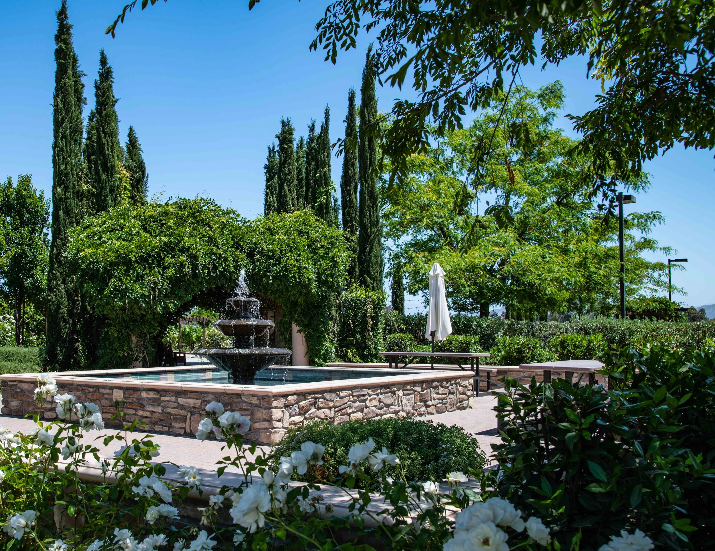 Lorimar Winery 2018 (2 of 22).jpg