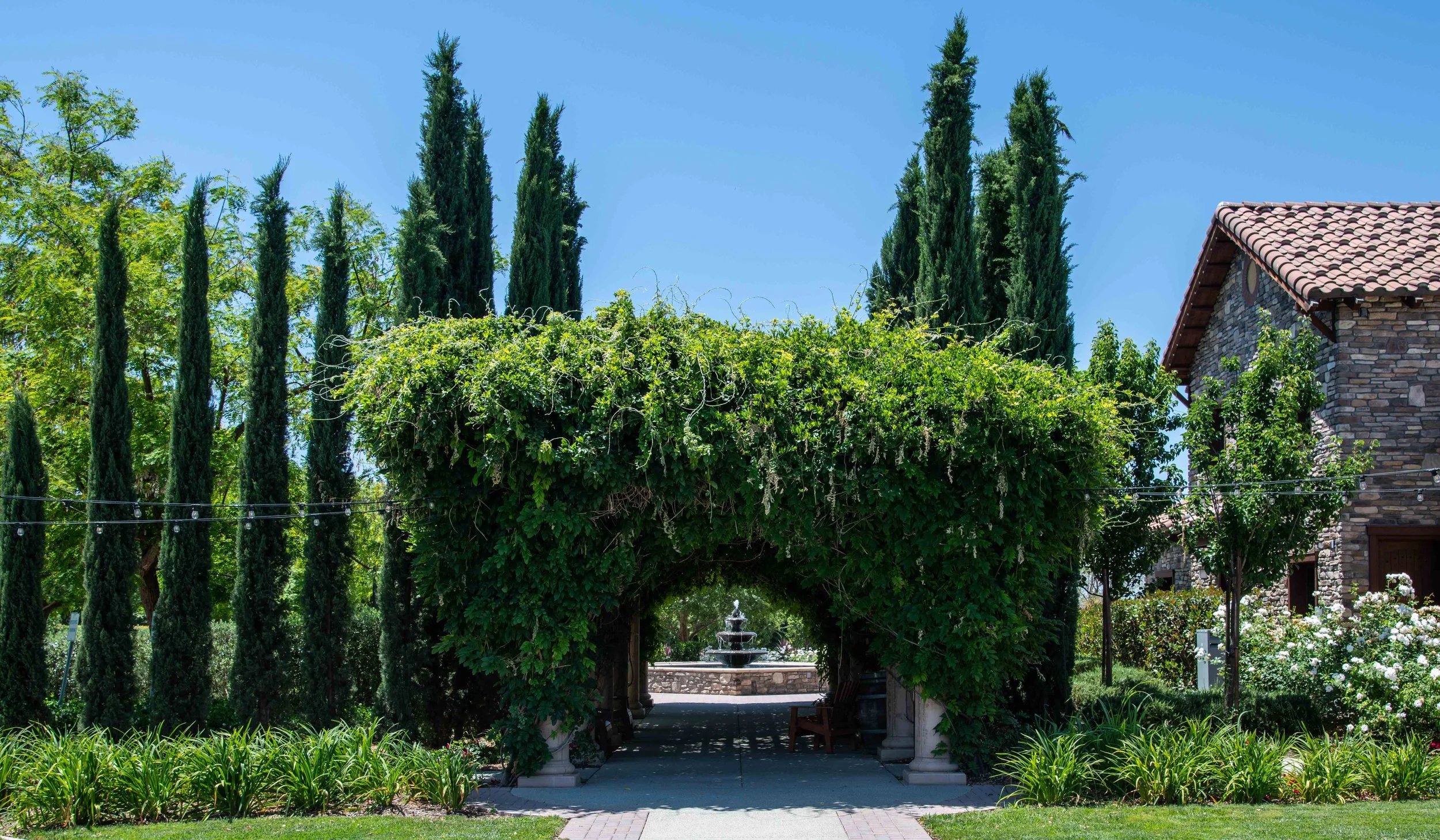 Lorimar Winery 2018 (7 of 22).jpg